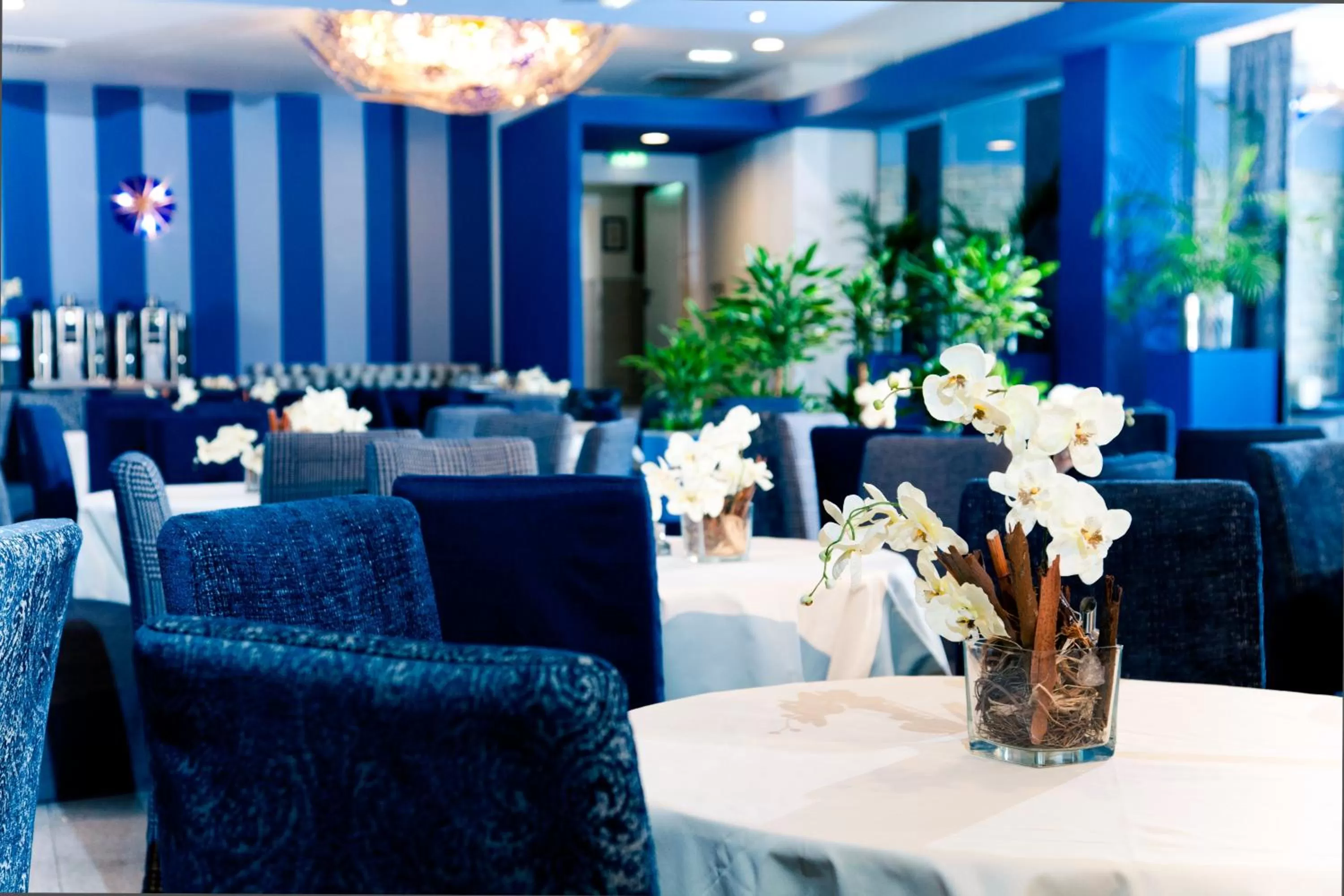 Restaurant/places to eat in Lenas Donau Hotel