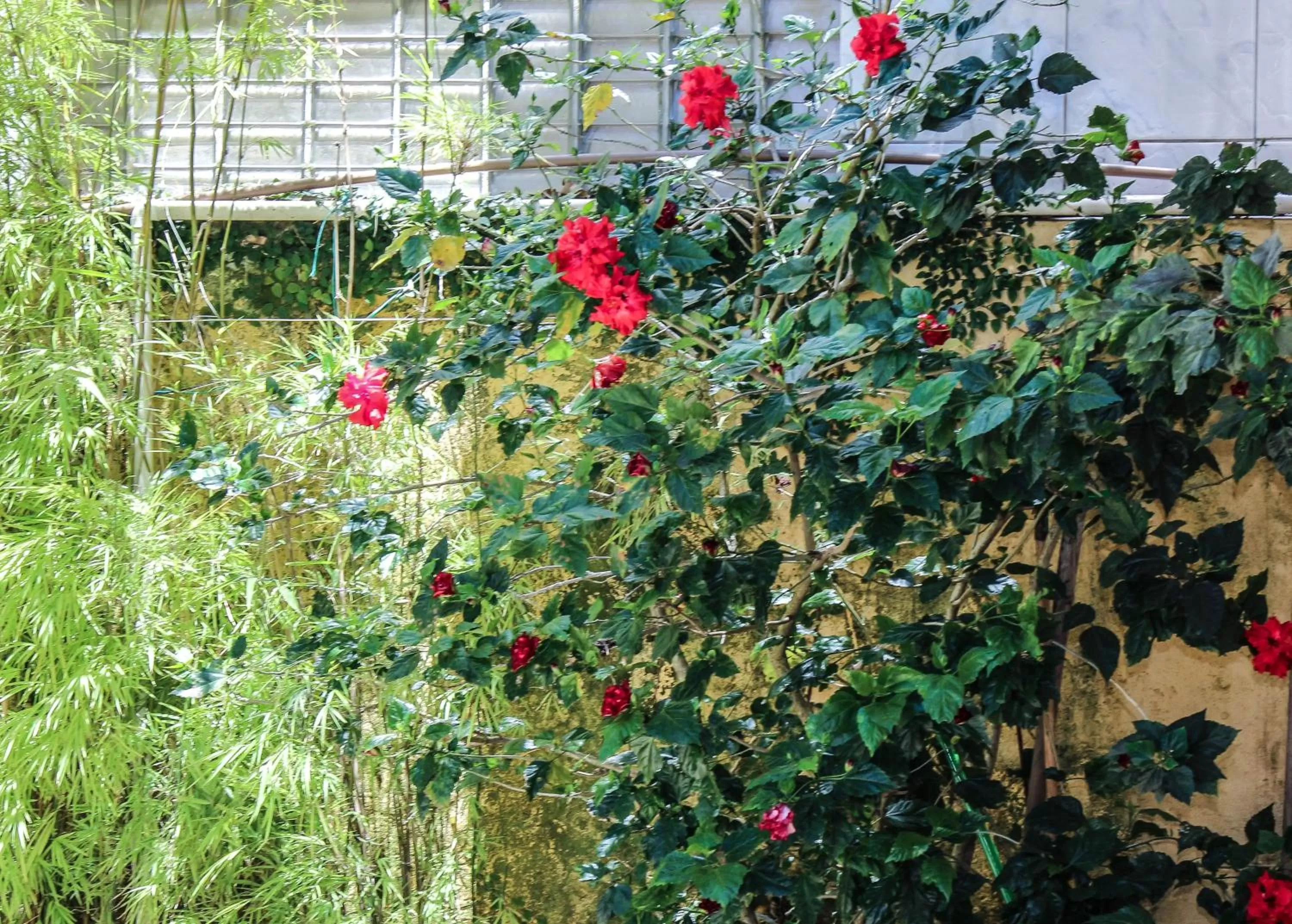 Day in Pousada Arquipélago