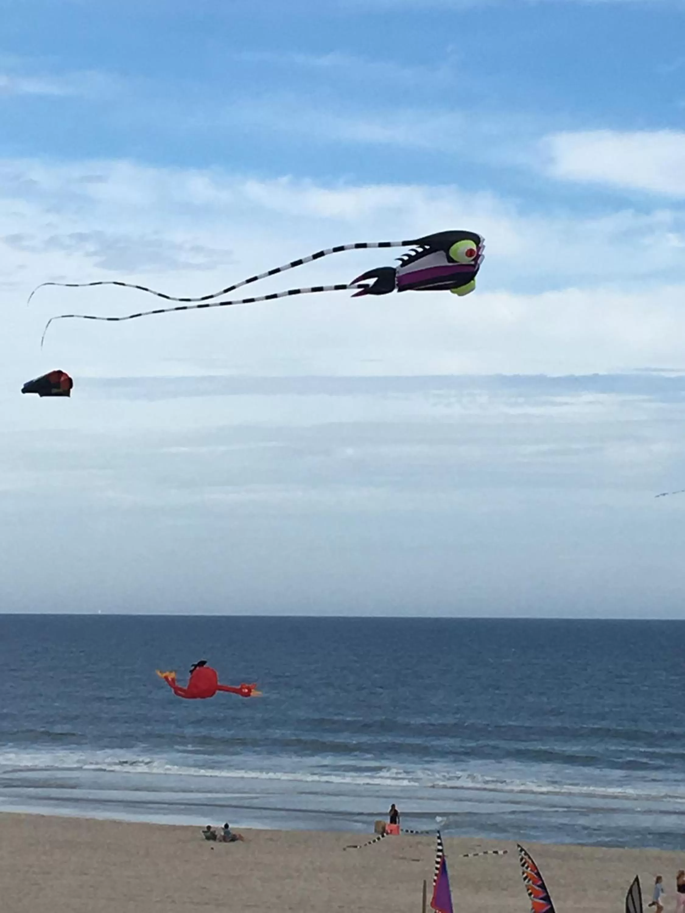 Activities in Drifting Sands Oceanfront Hotel