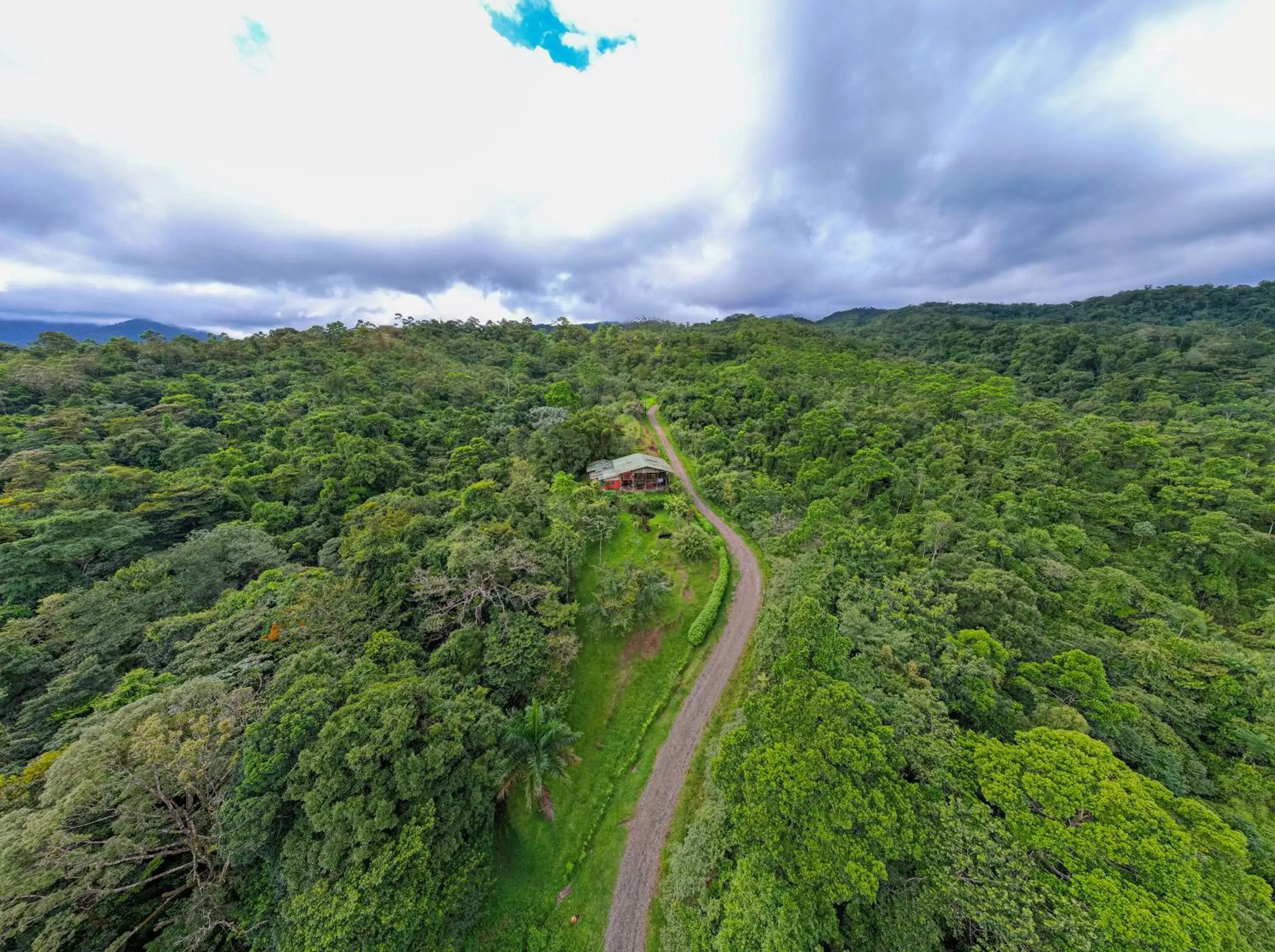 Bird's-eye View in Birds & Breakfast Costa Rica