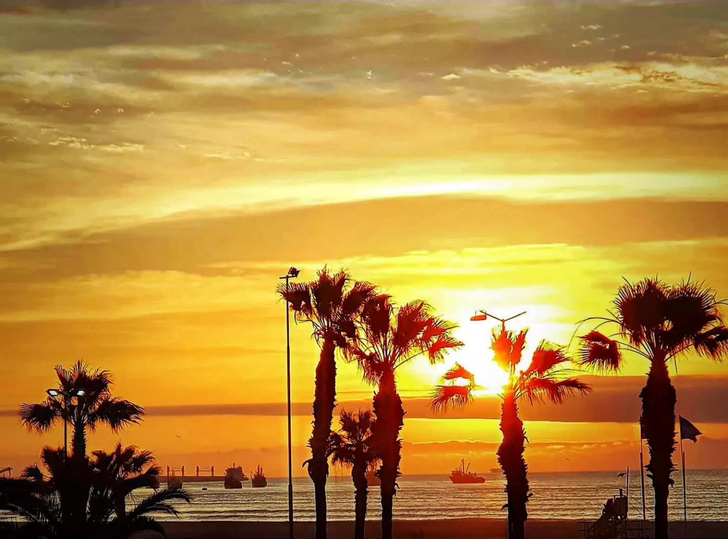 Beach in Hotel Puerto Chinchorro