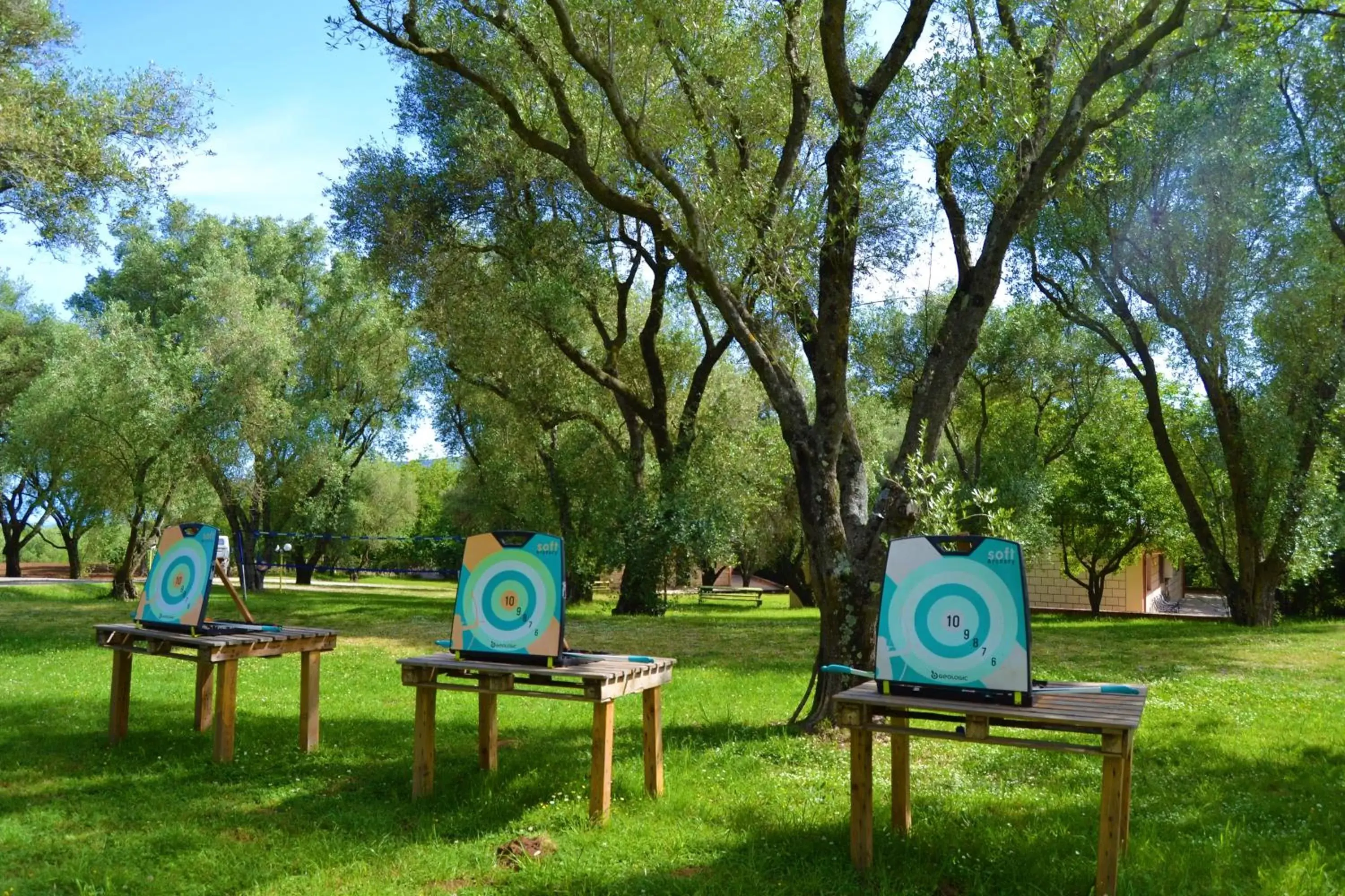 Darts, Garden in Green Park Hotel & Residence