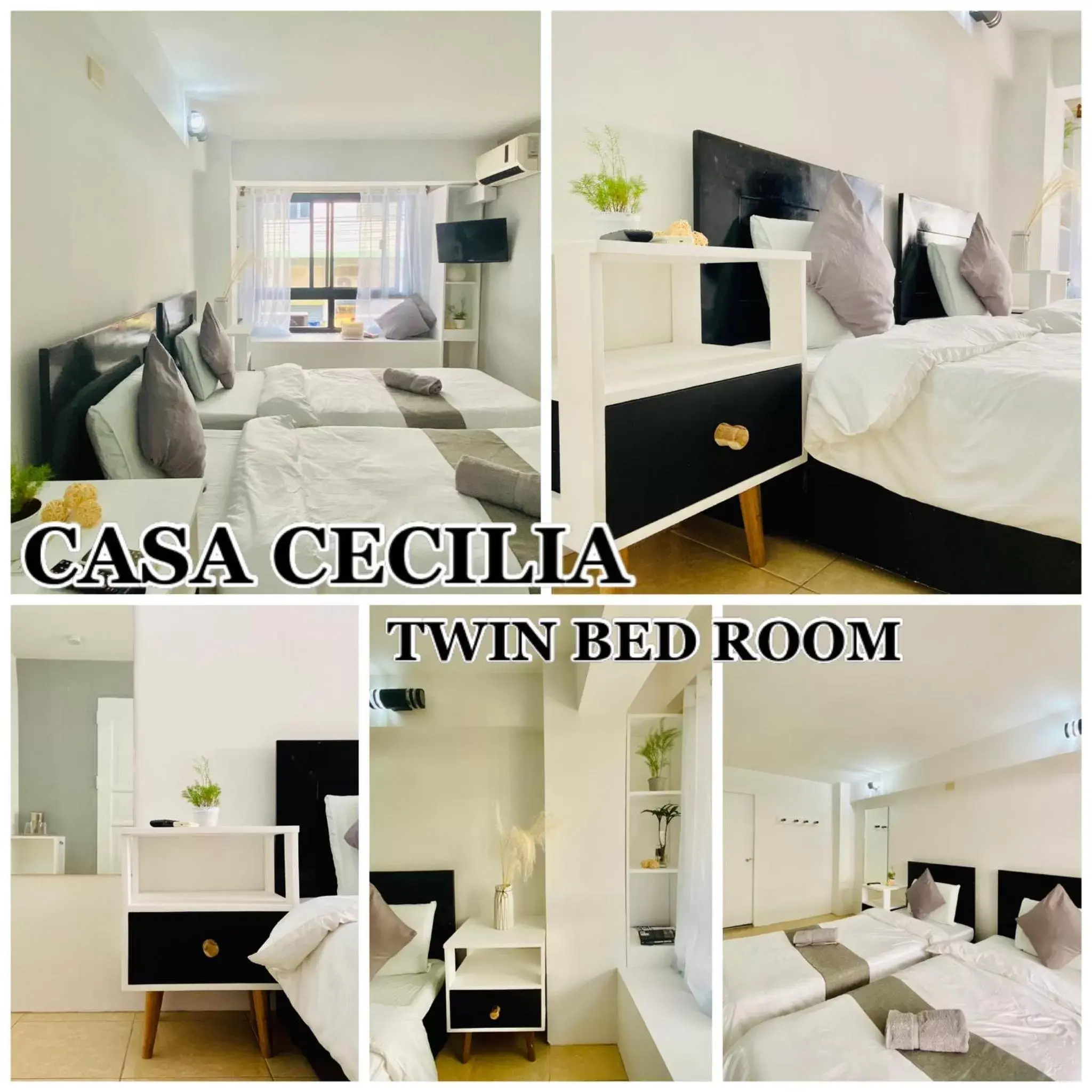 Casa Cecilia