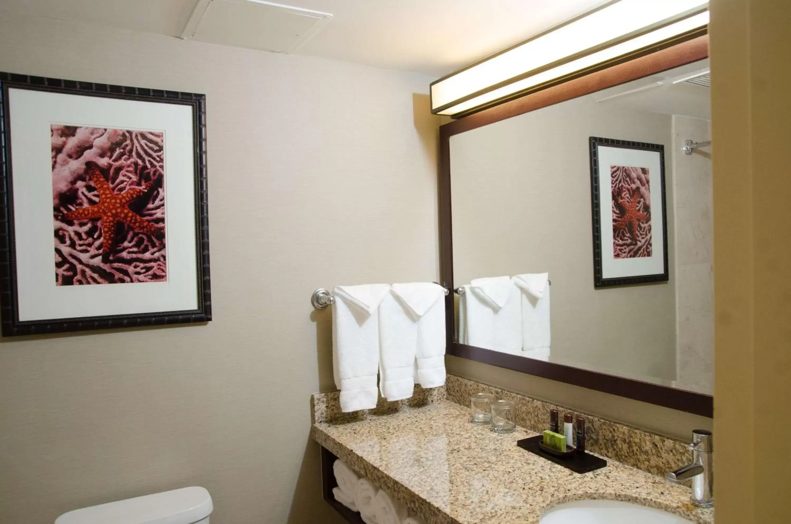 Bathroom in Embassy Suites by Hilton West Palm Beach Central