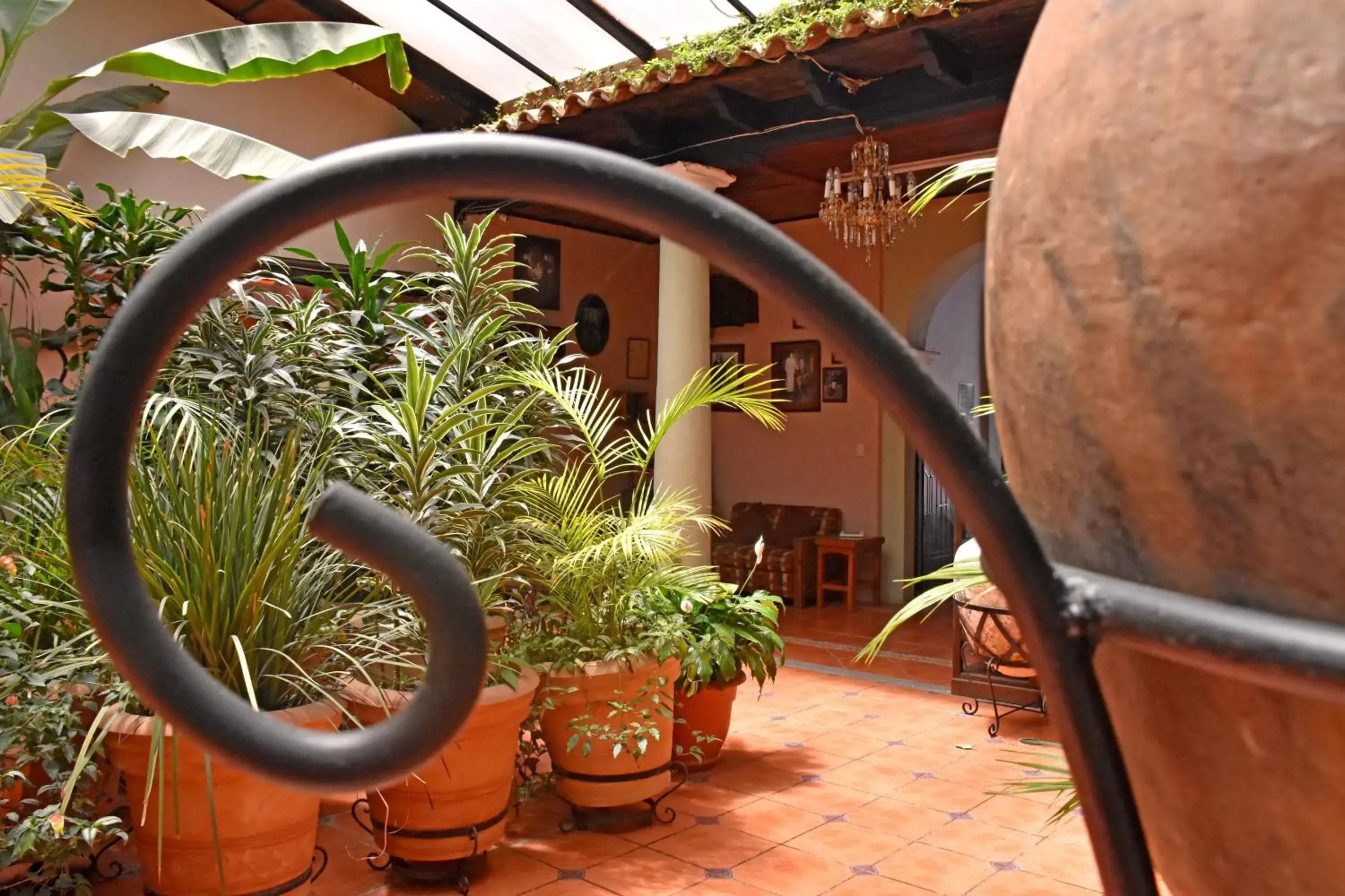 Garden in Hotel San Luis