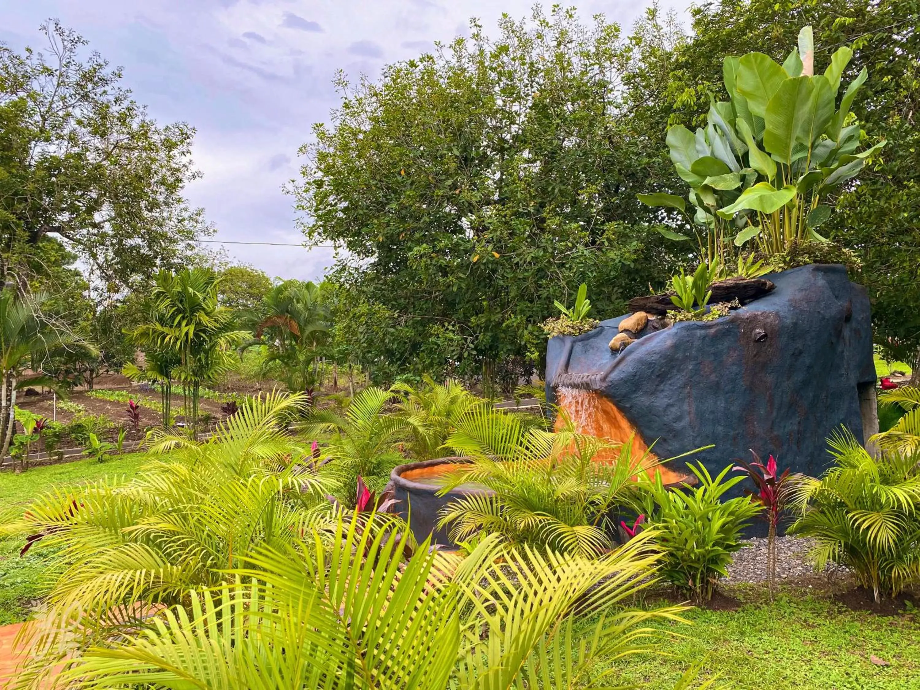 Hot Spring Bath, Other Animals in Hotel Heliconias Nature Inn & Hot Springs