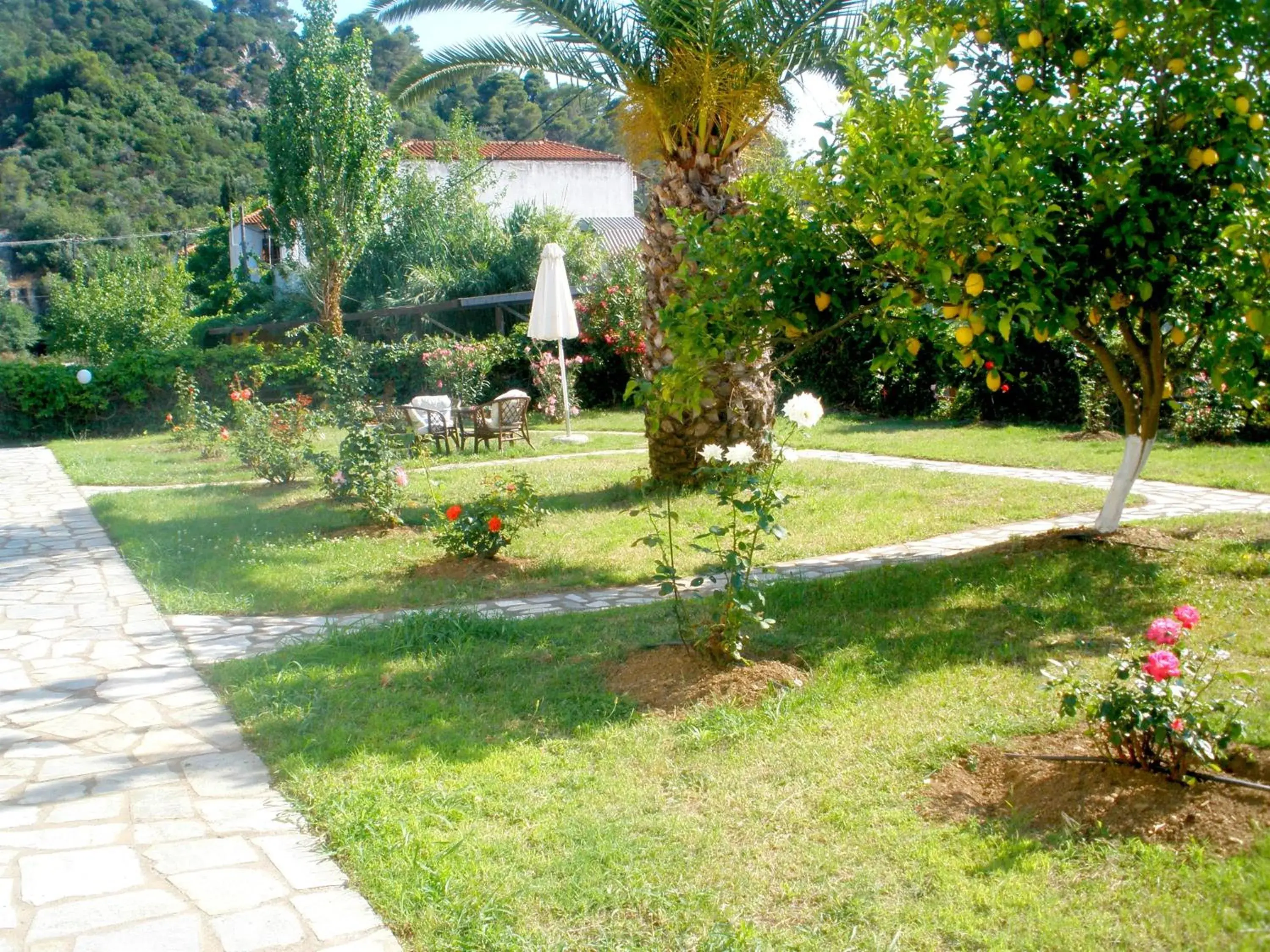 Day, Garden in Afroditi