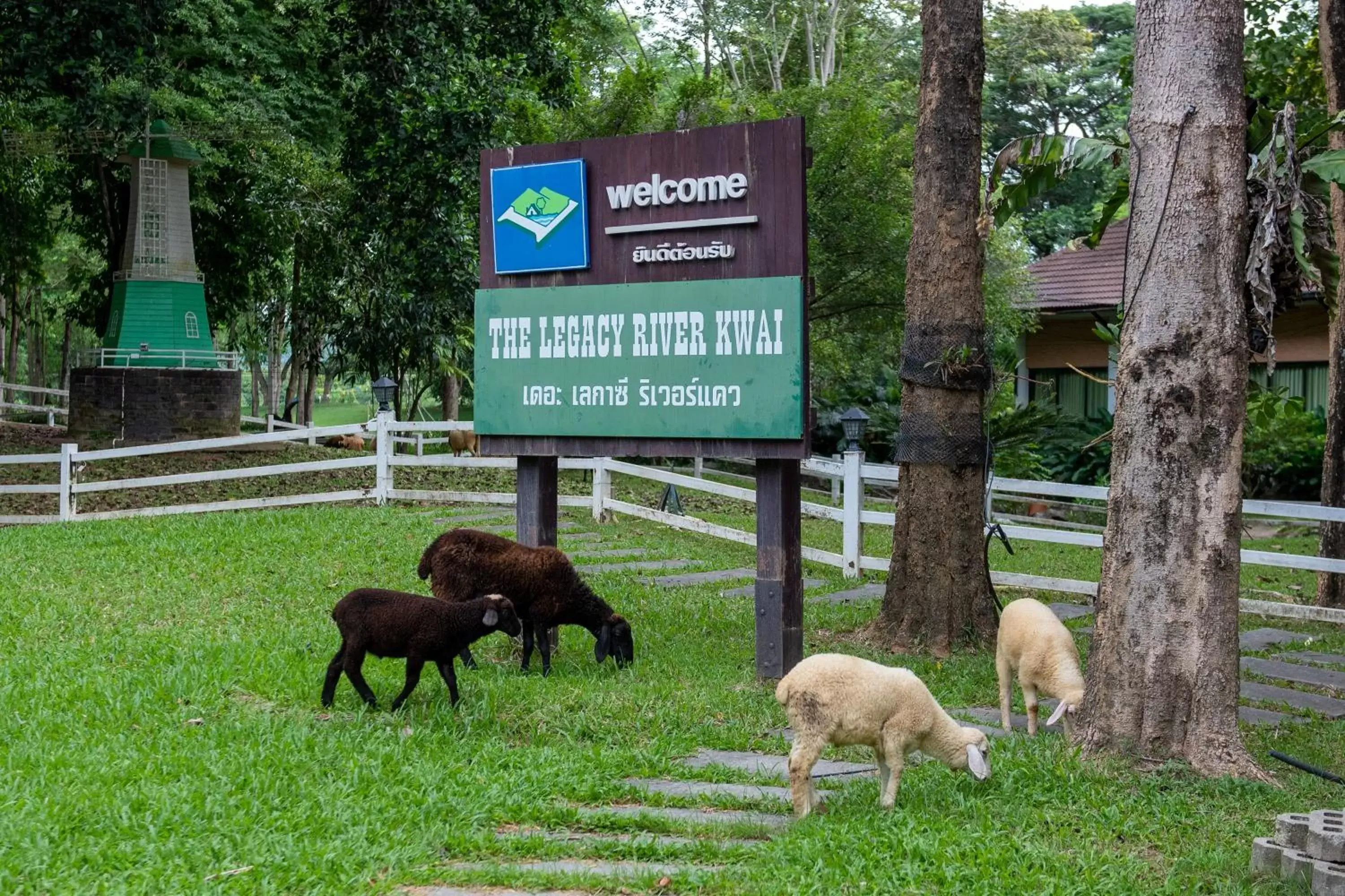 Activities, Other Animals in The Legacy River Kwai Resort