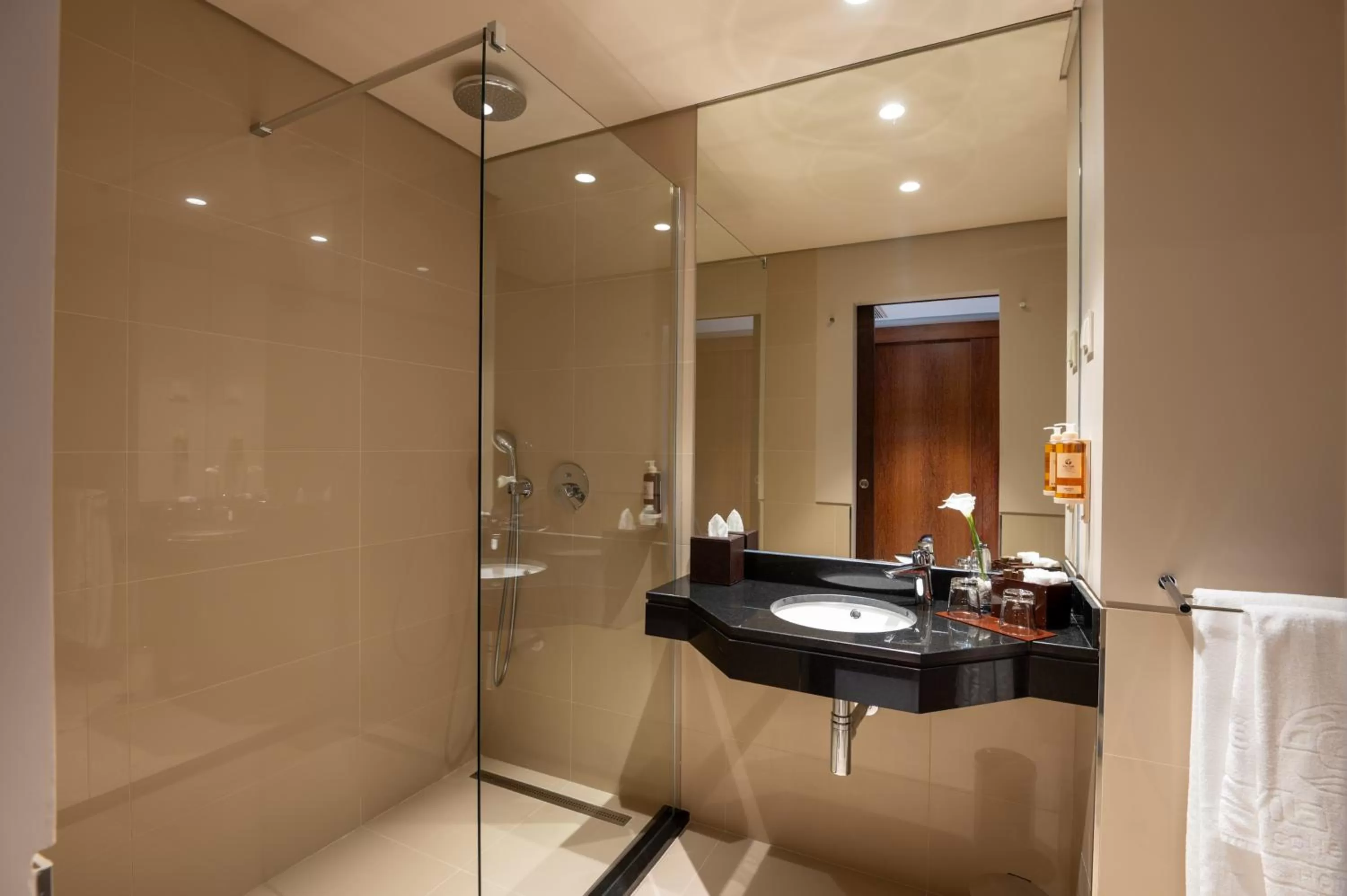 Shower in Vila Gale Collection Tomar