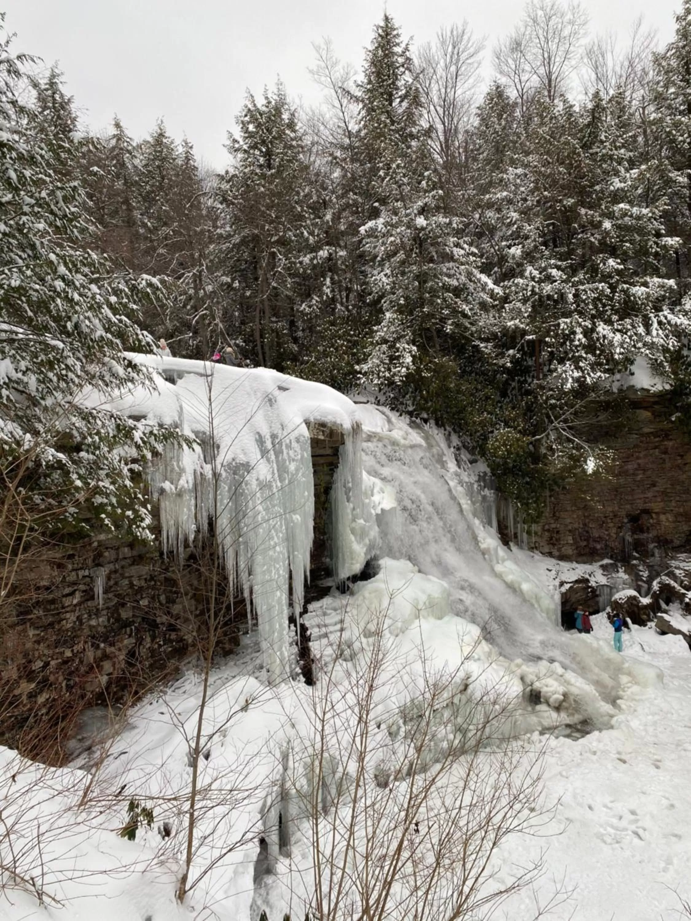 Natural landscape in The Garrett Inn