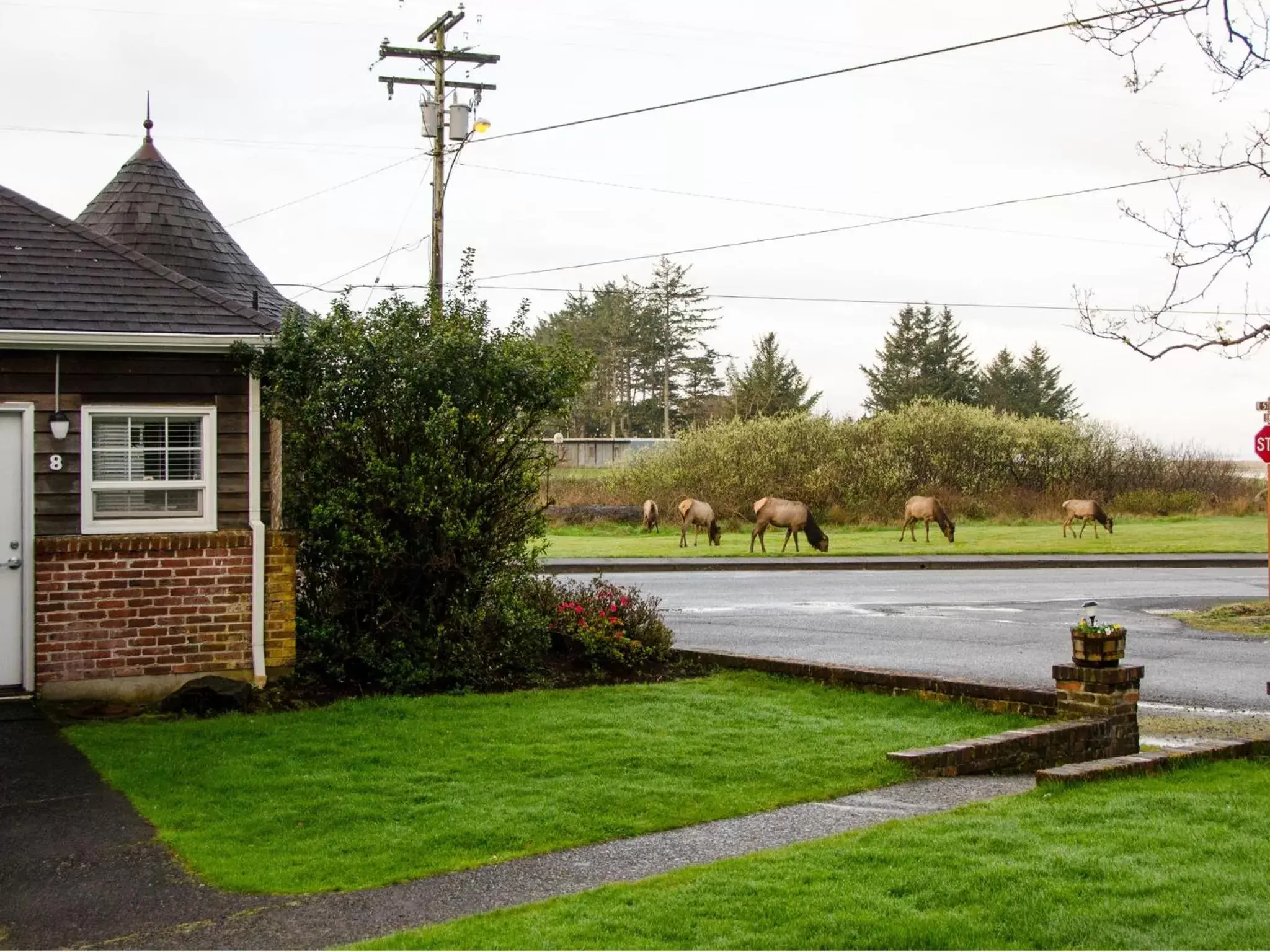 Facade/entrance, Garden in Ecola Creek Lodge