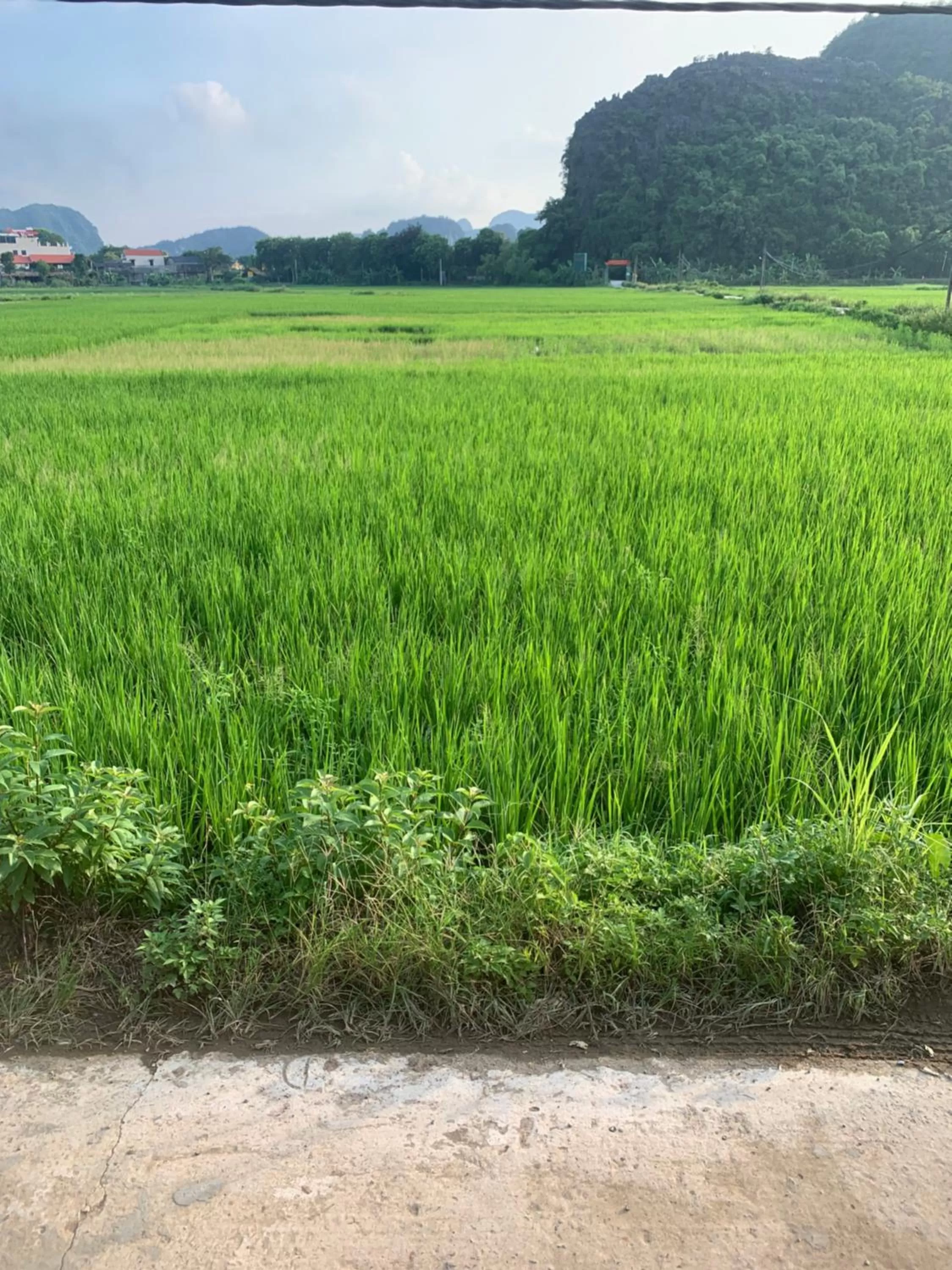 Landmark view in Tam Coc Wonderland Bungalow