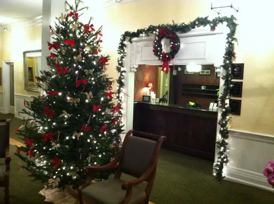 Lobby/Reception in Green Park Inn