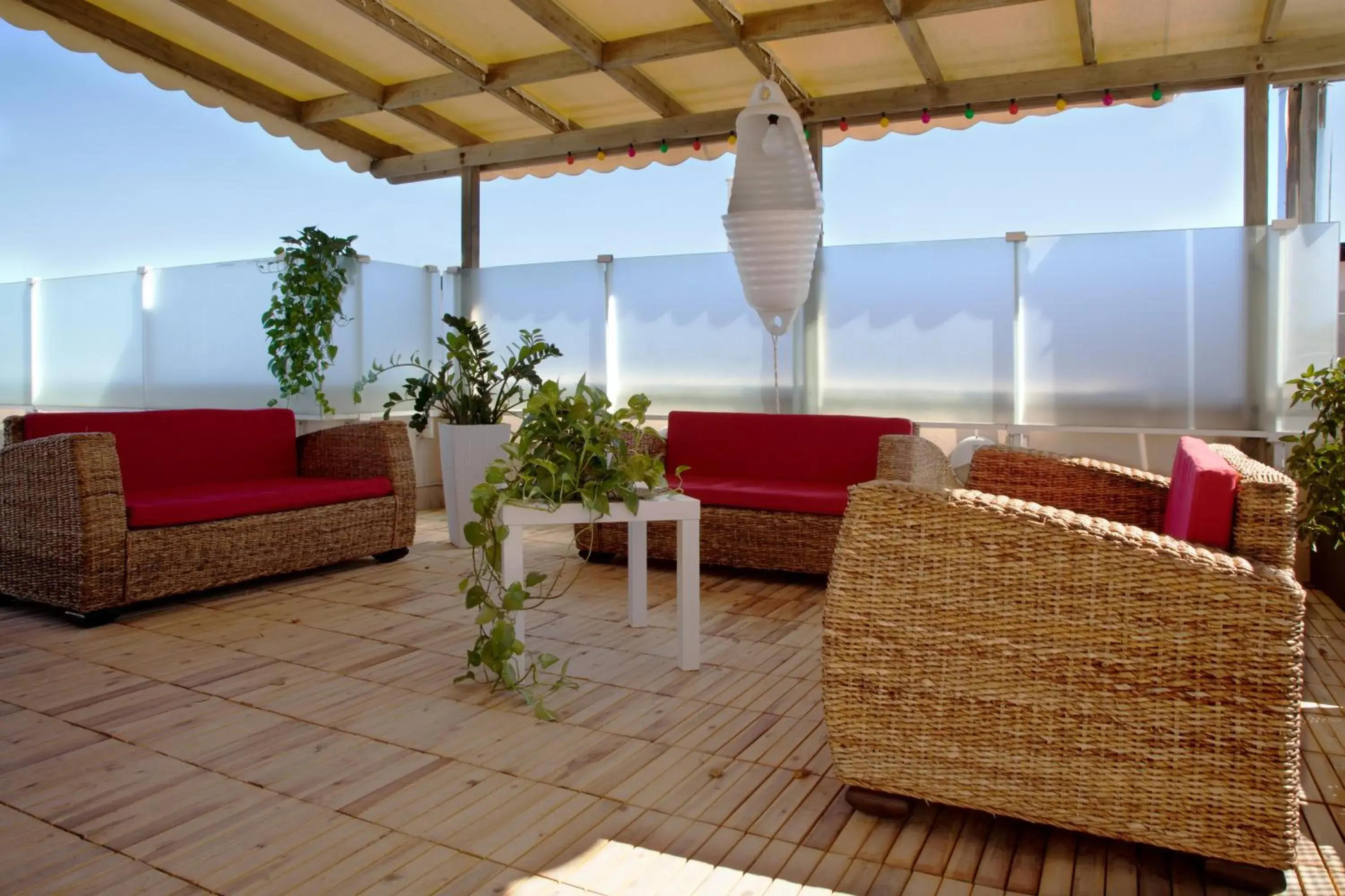 Solarium, Seating Area in Hotel International