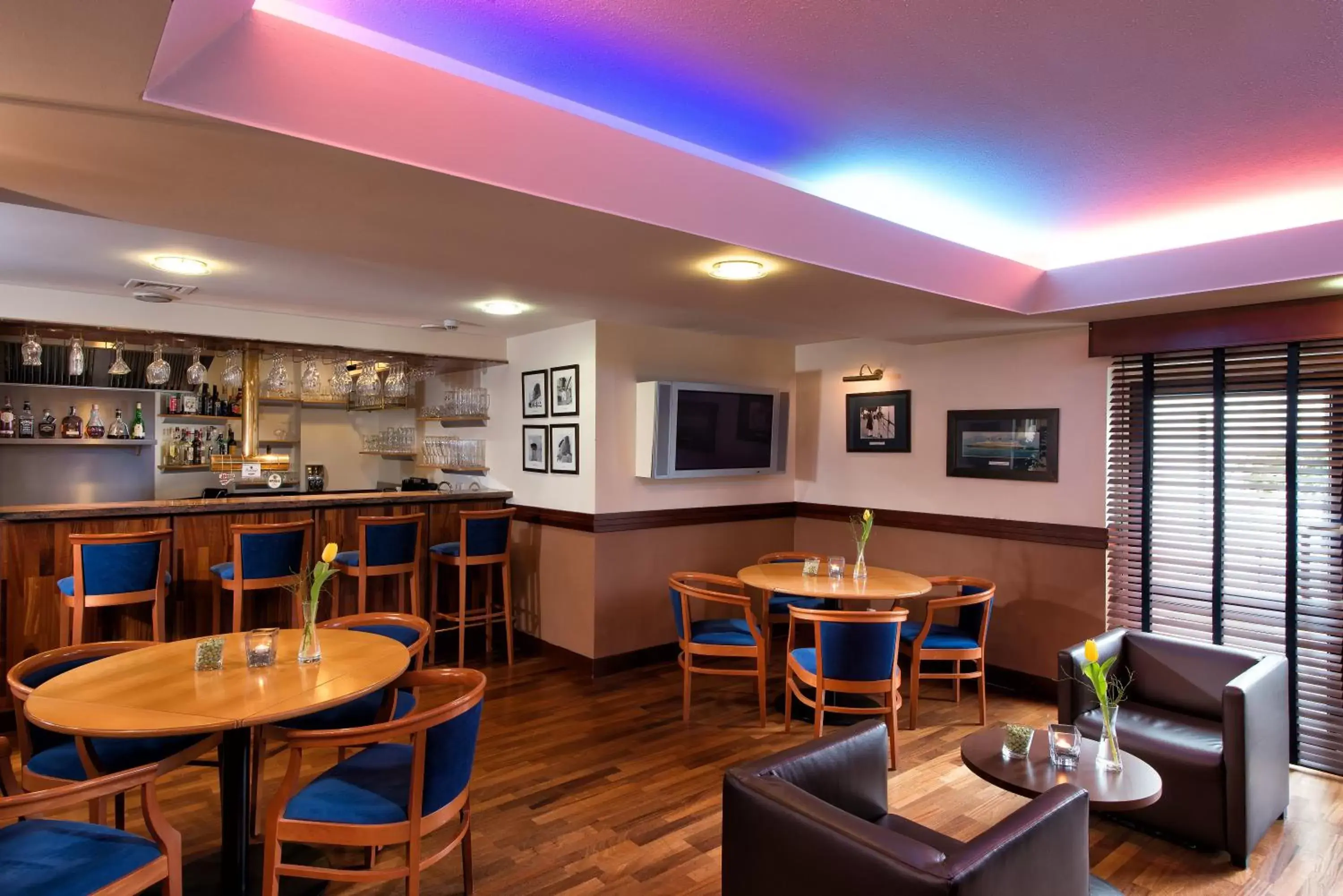 Lounge or bar, Restaurant/Places to Eat in Best Western Hotel Peine Salzgitter