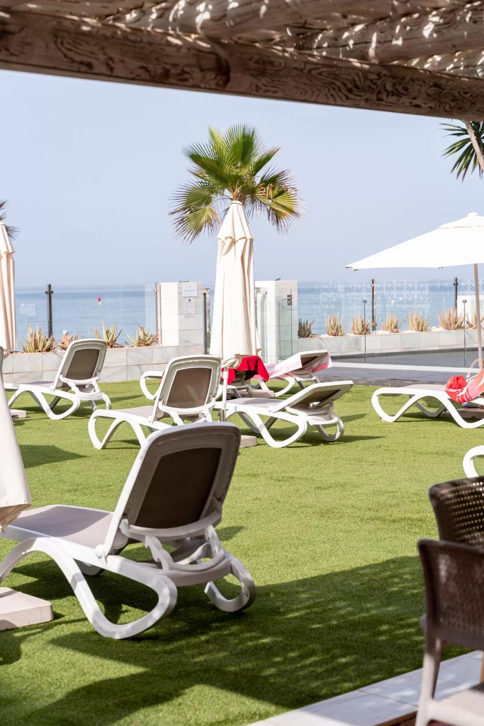 Garden in Hotel Santa Rosa