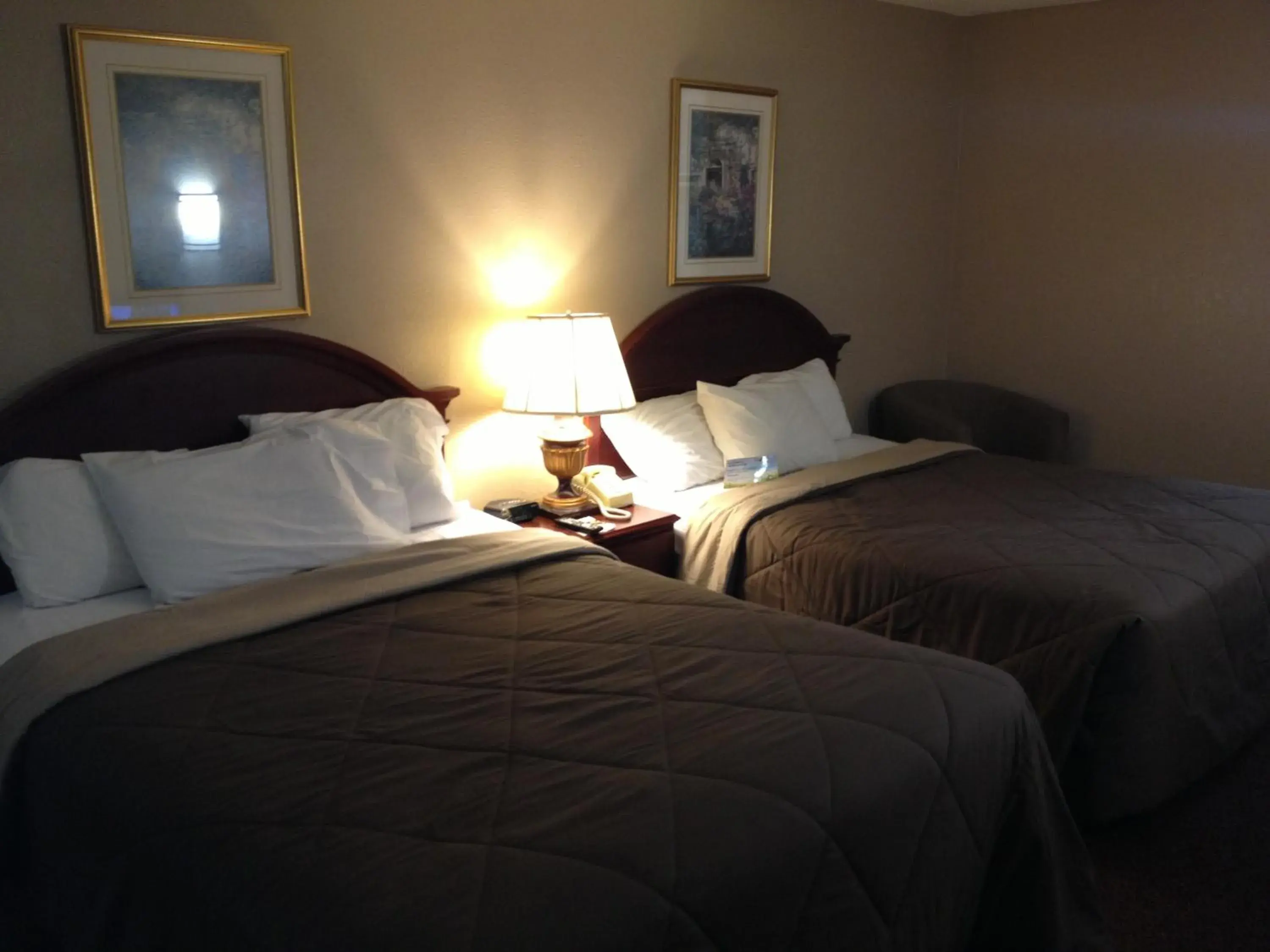 Bed in Park Avenue Inn & Suites