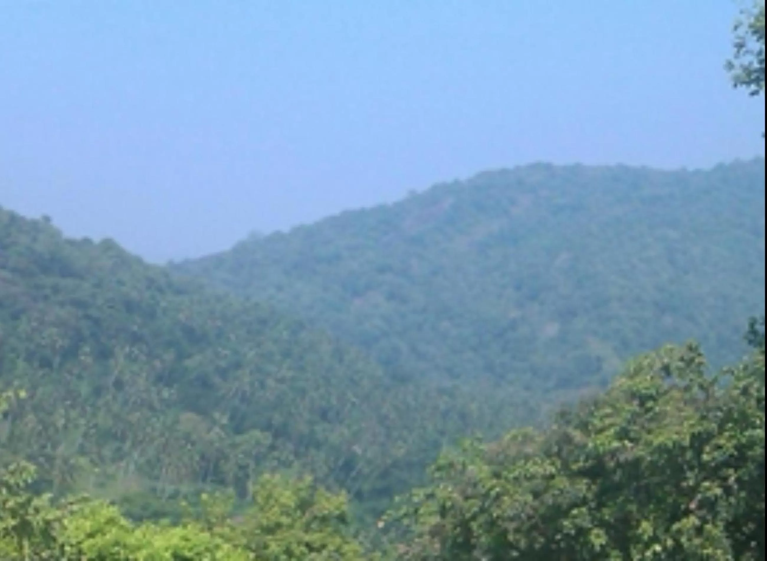 Natural landscape in Birds Park Polgahawela