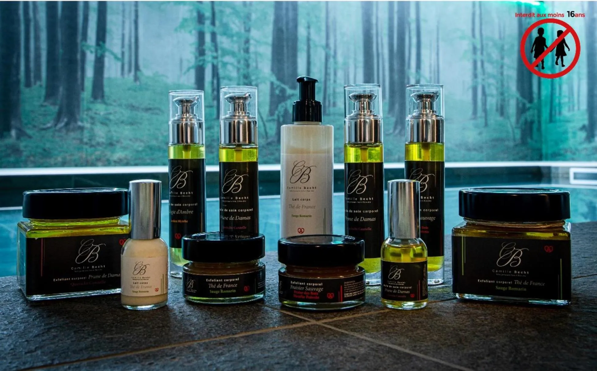 Massage in Europe Haguenau – Hotel & Spa