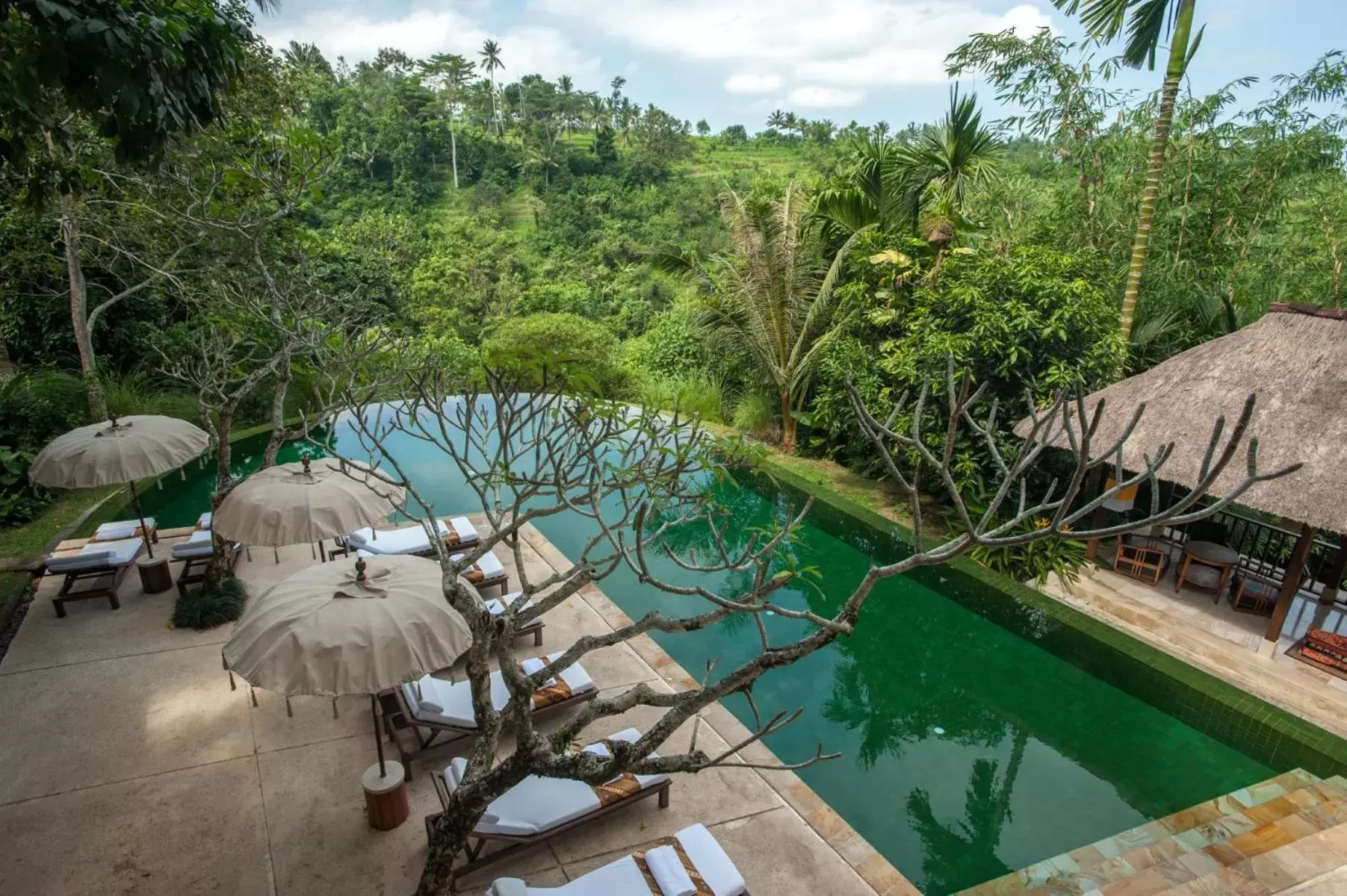 Swimming pool, Pool View in Komaneka at Tanggayuda Ubud