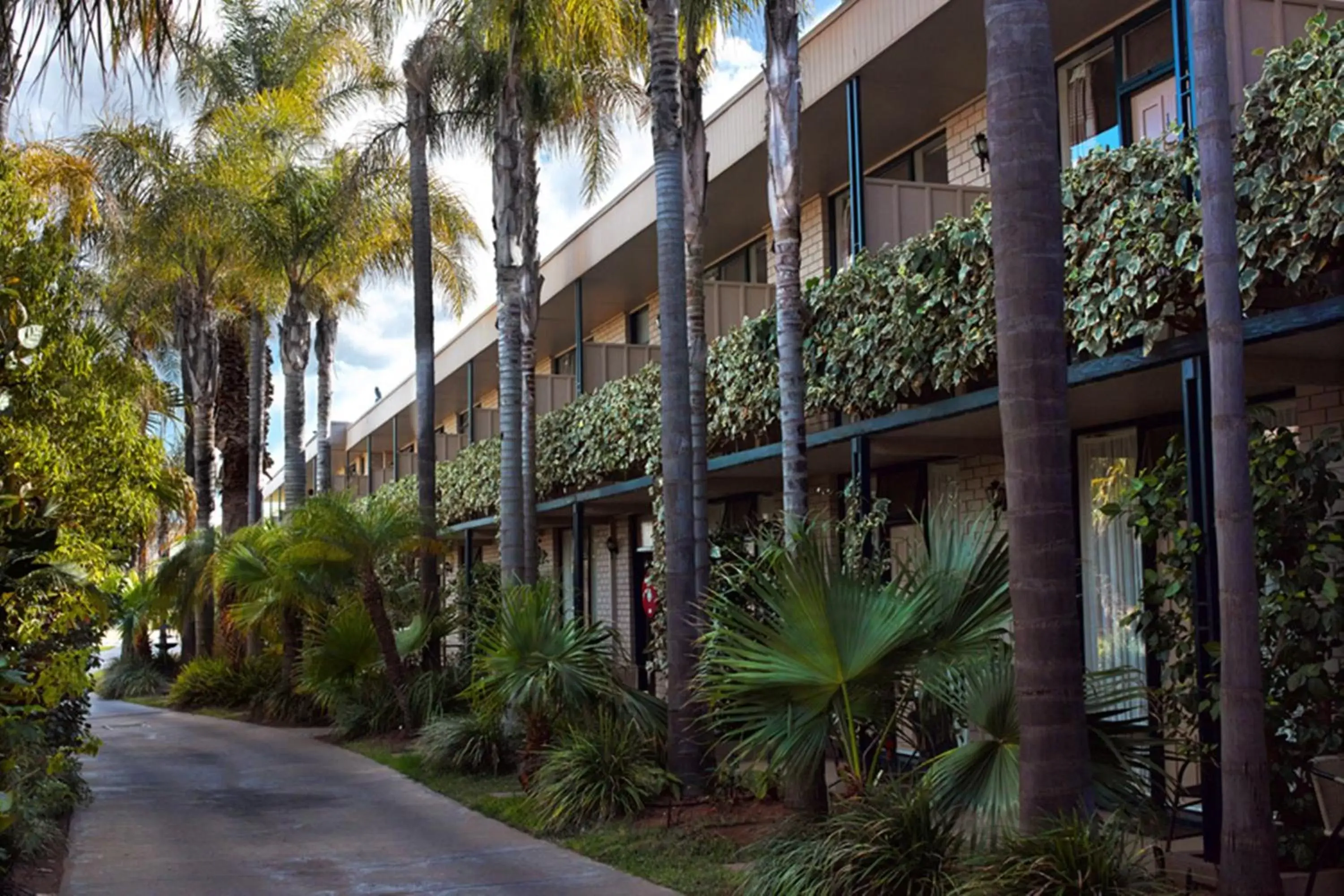 Garden, Property Building in Sandors Motor Inn