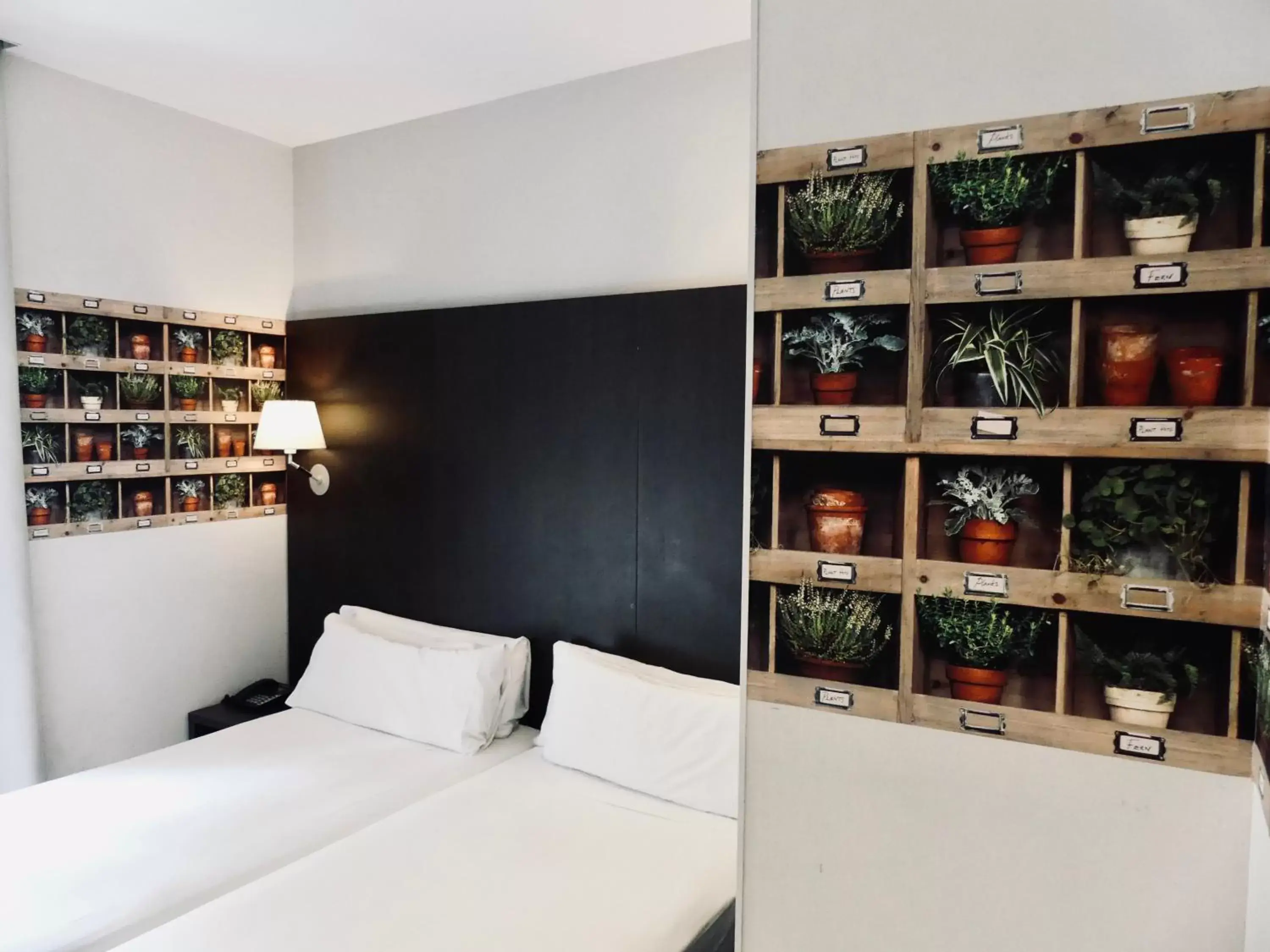 Standard Twin Room in Hotel Ramblas Internacional