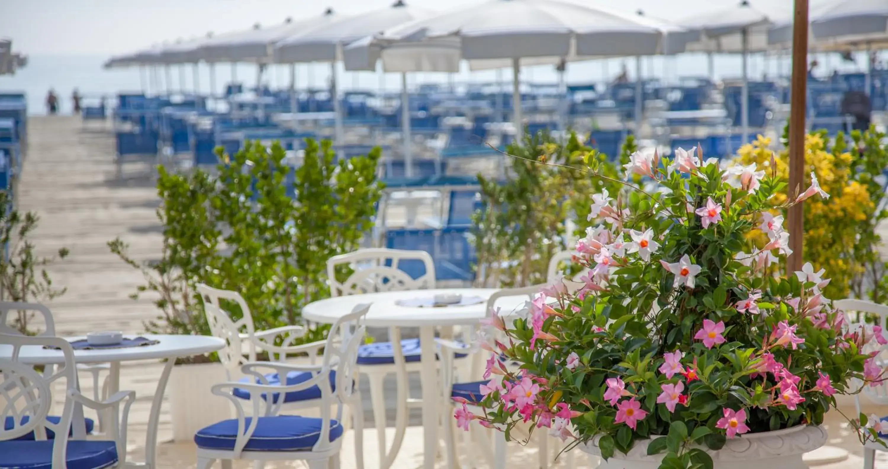 Beach in Hotel Aurelia