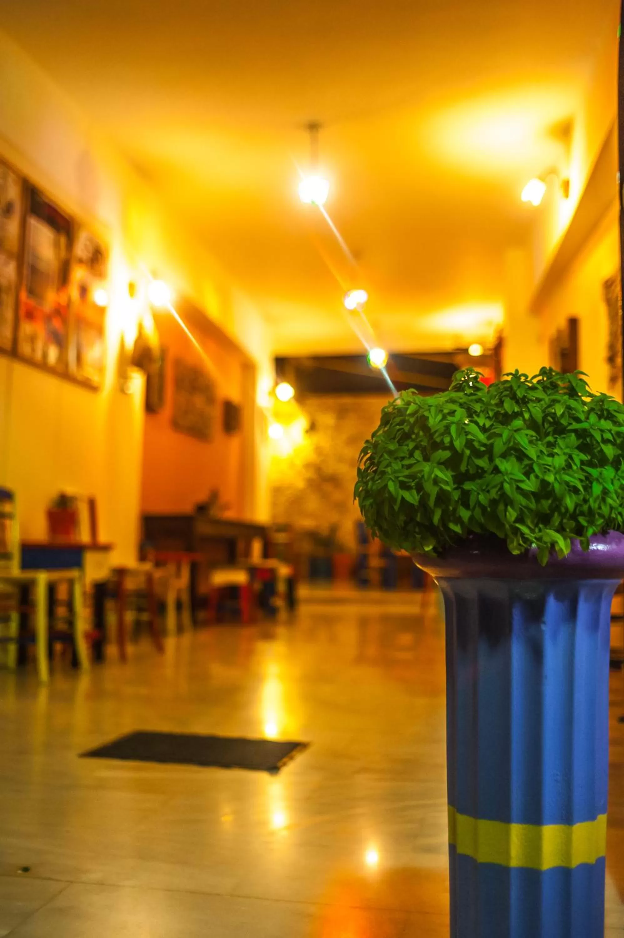 Lobby or reception in Poco Loco Bed & Breakfast