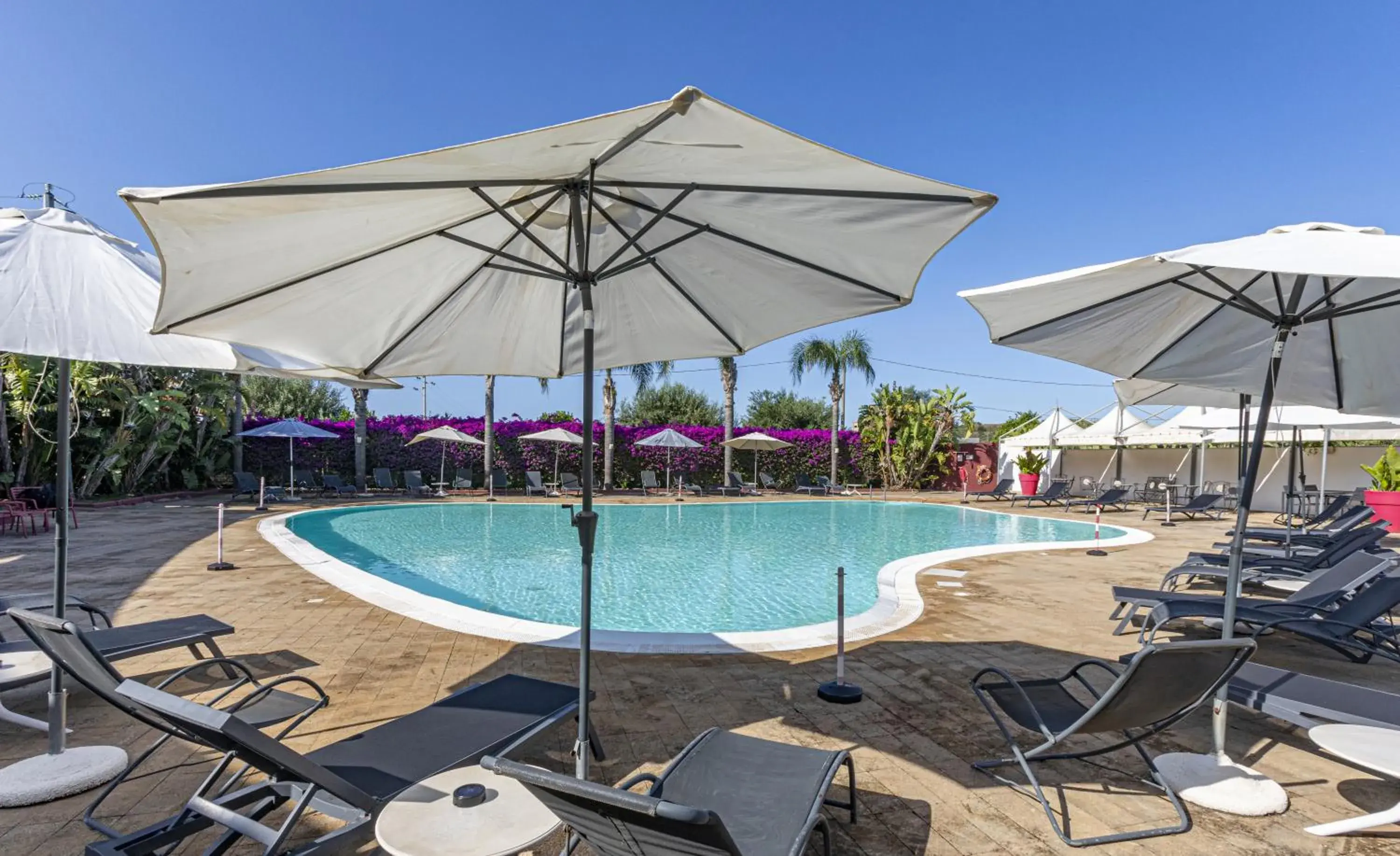 Swimming Pool in Albatros Hotel