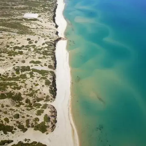 Beach, Bird's-eye View in La Peonia Charming Accomodation