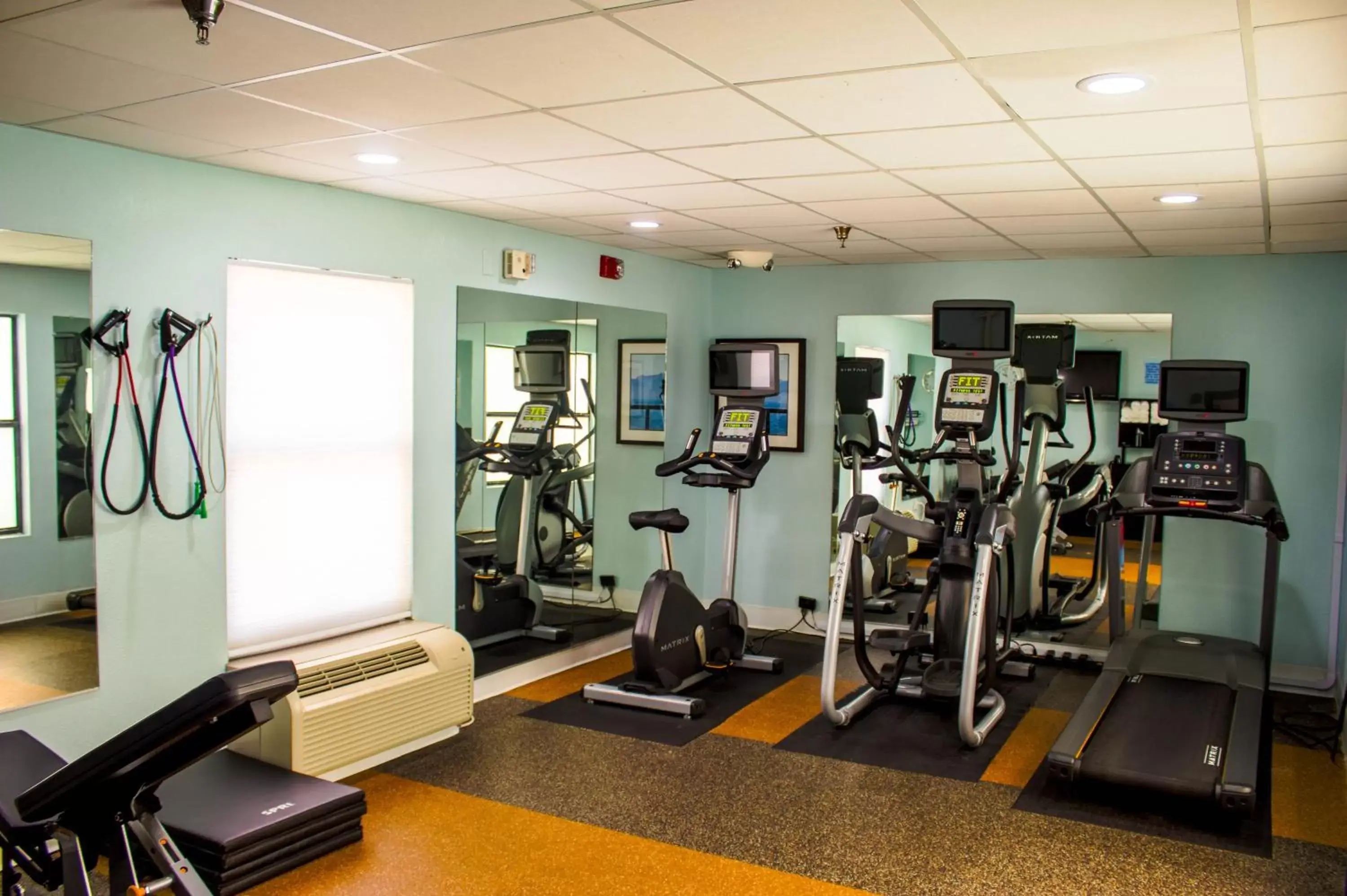 Fitness centre/facilities, Fitness Center/Facilities in Holiday Inn Express Hotel & Suites Sanford, an IHG Hotel