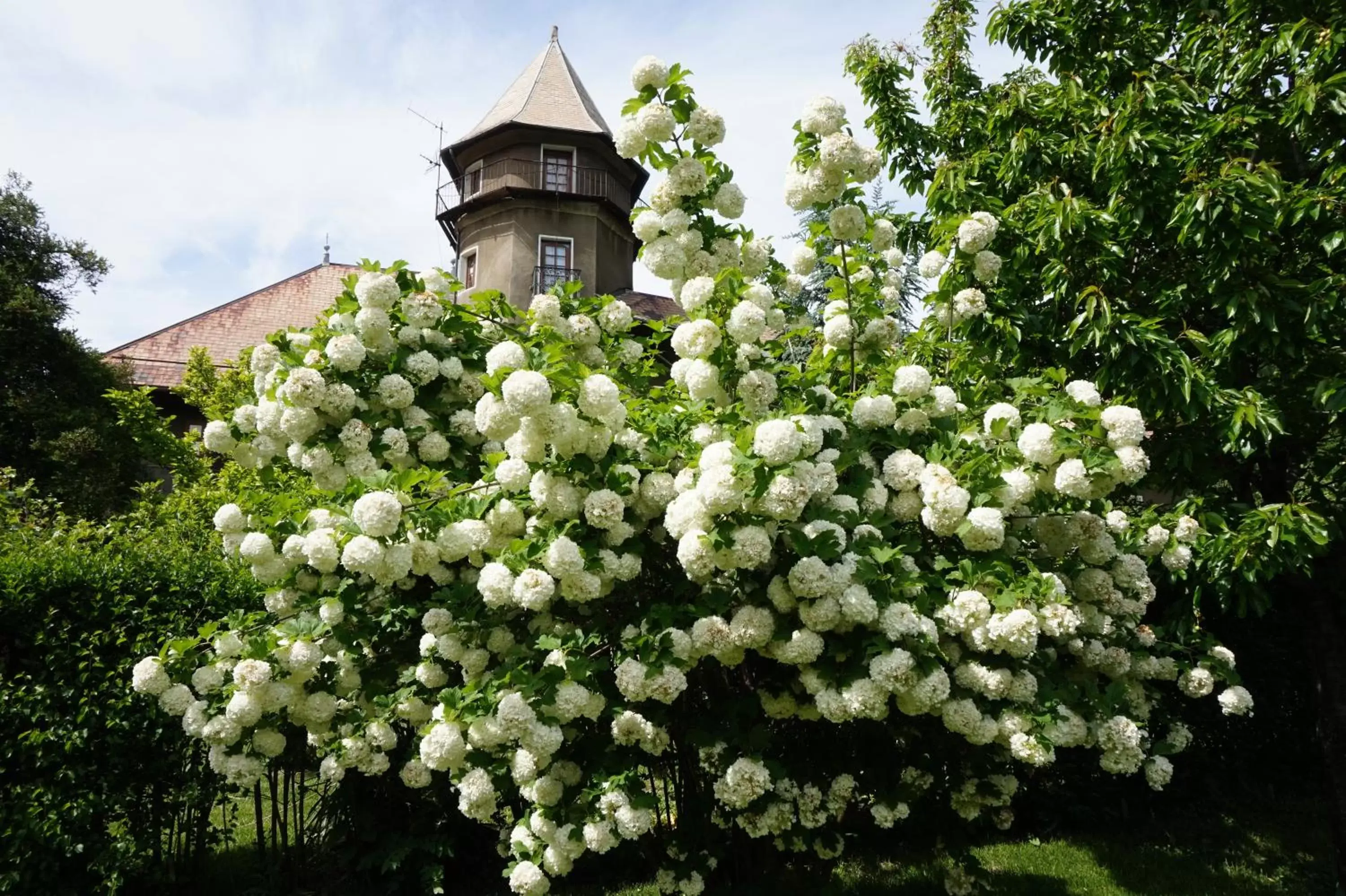 Garden, Property Building in Château du Vigny - Maison d'hôtes