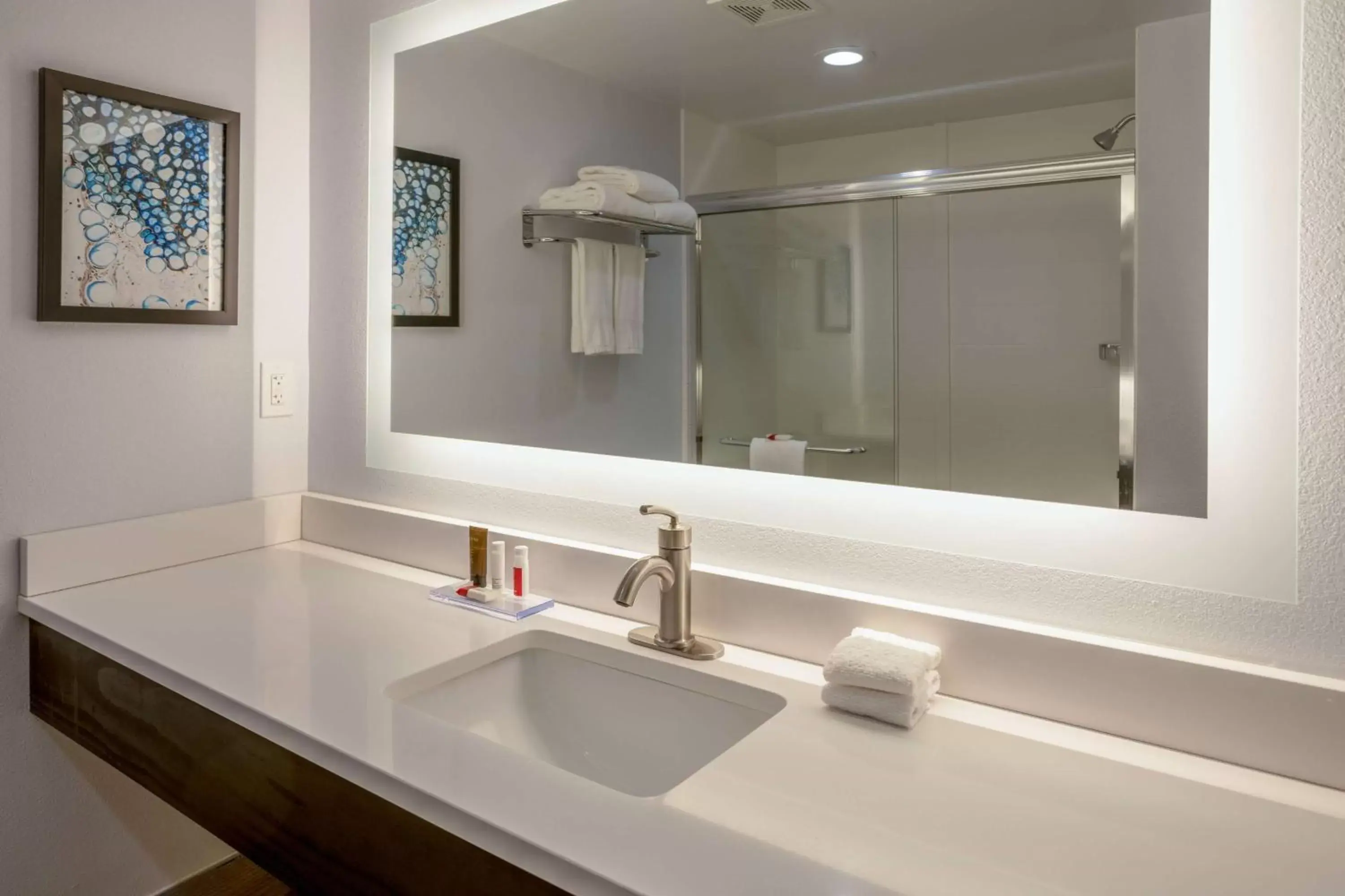 TV and multimedia, Bathroom in Wingate by Wyndham Waldorf - Washington DC Area