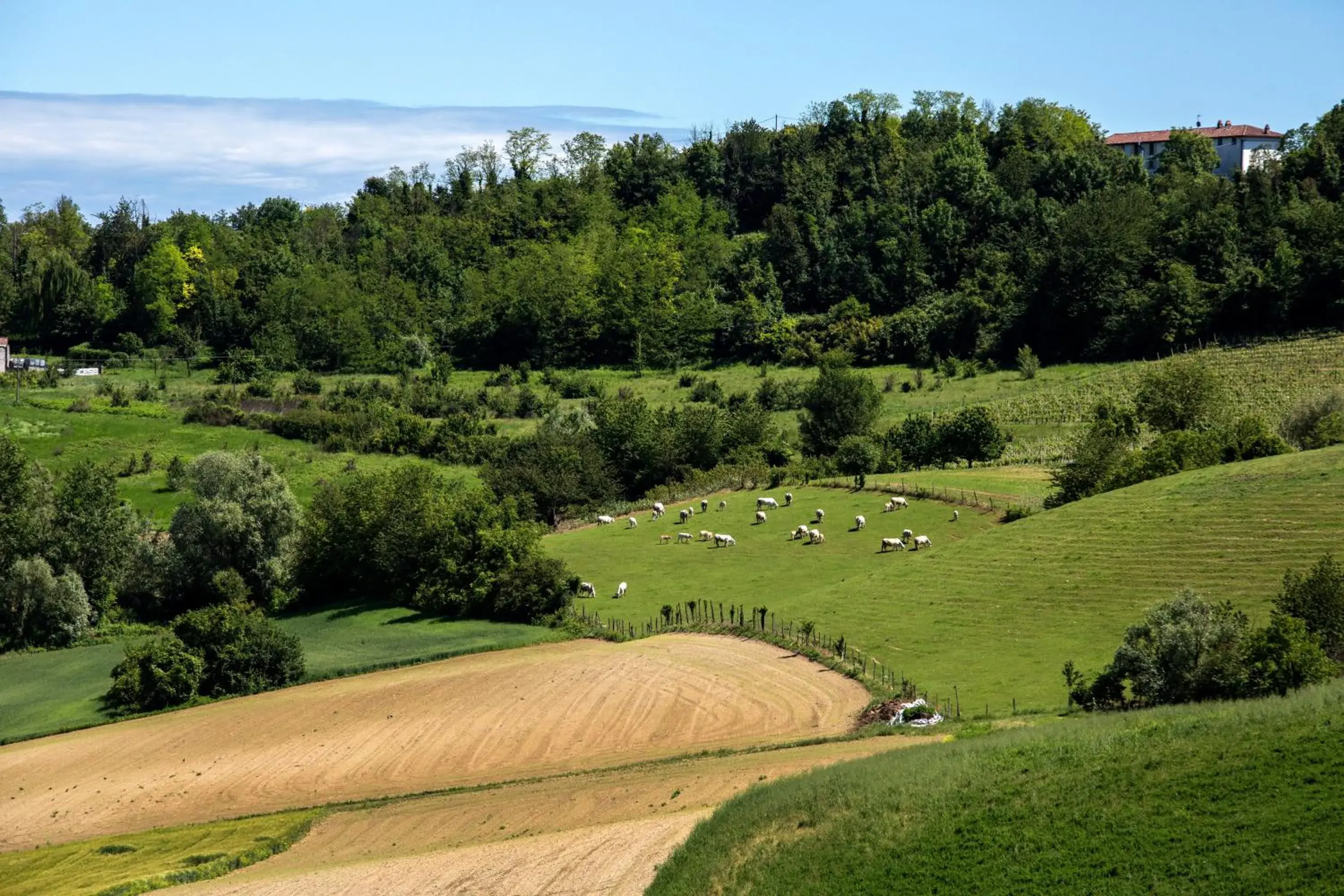 Natural landscape in Spinerola Hotel in Cascina & Restaurant Uvaspina