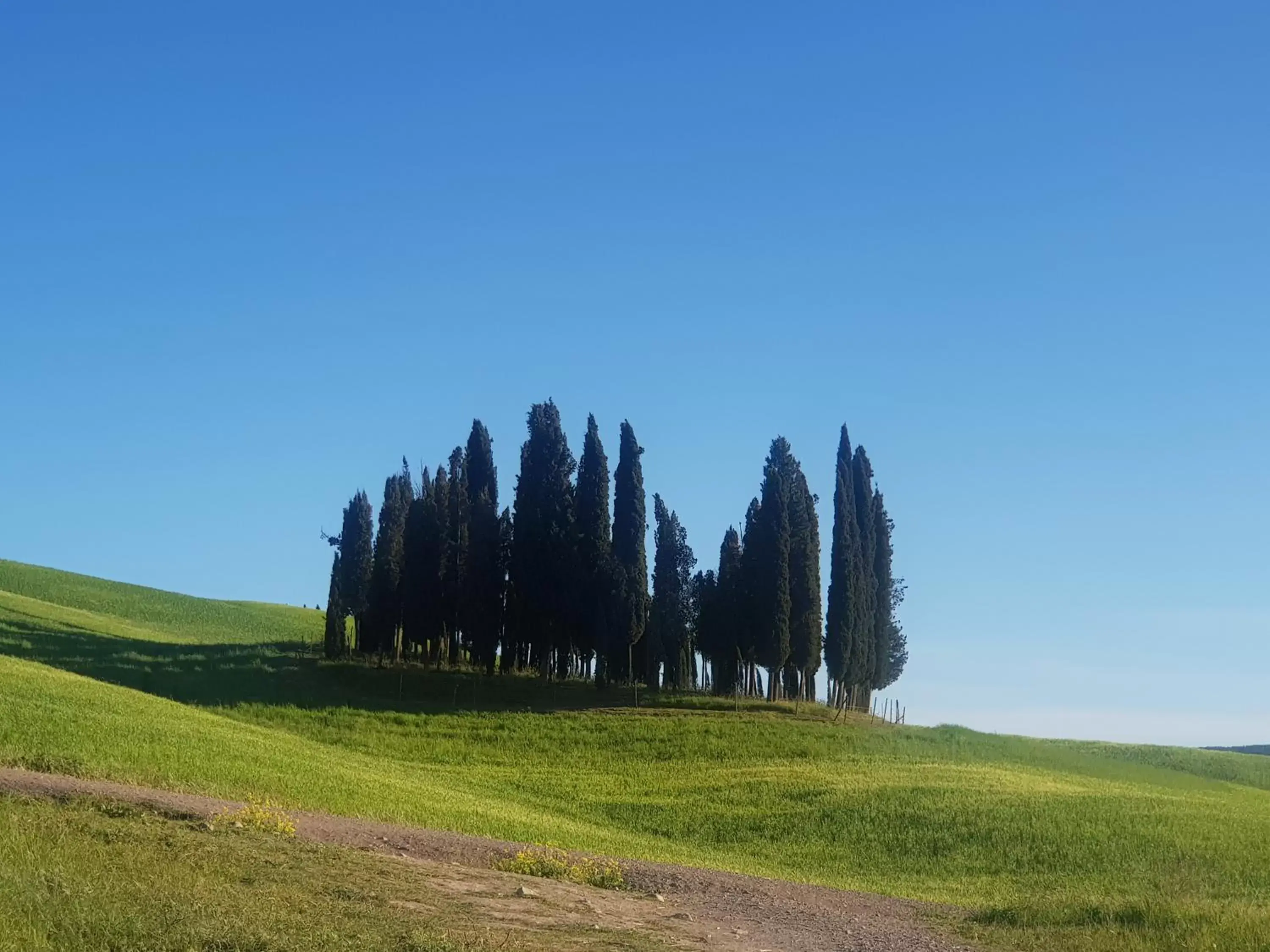 Natural landscape in Palazzetto del Pittore