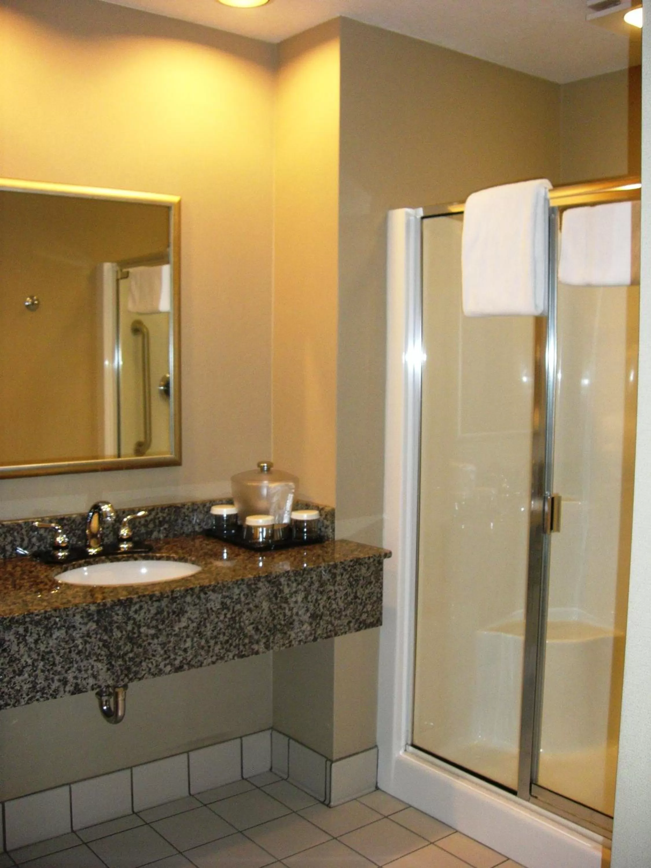 Shower in Holiday Inn St. Paul Northeast - Lake Elmo by IHG