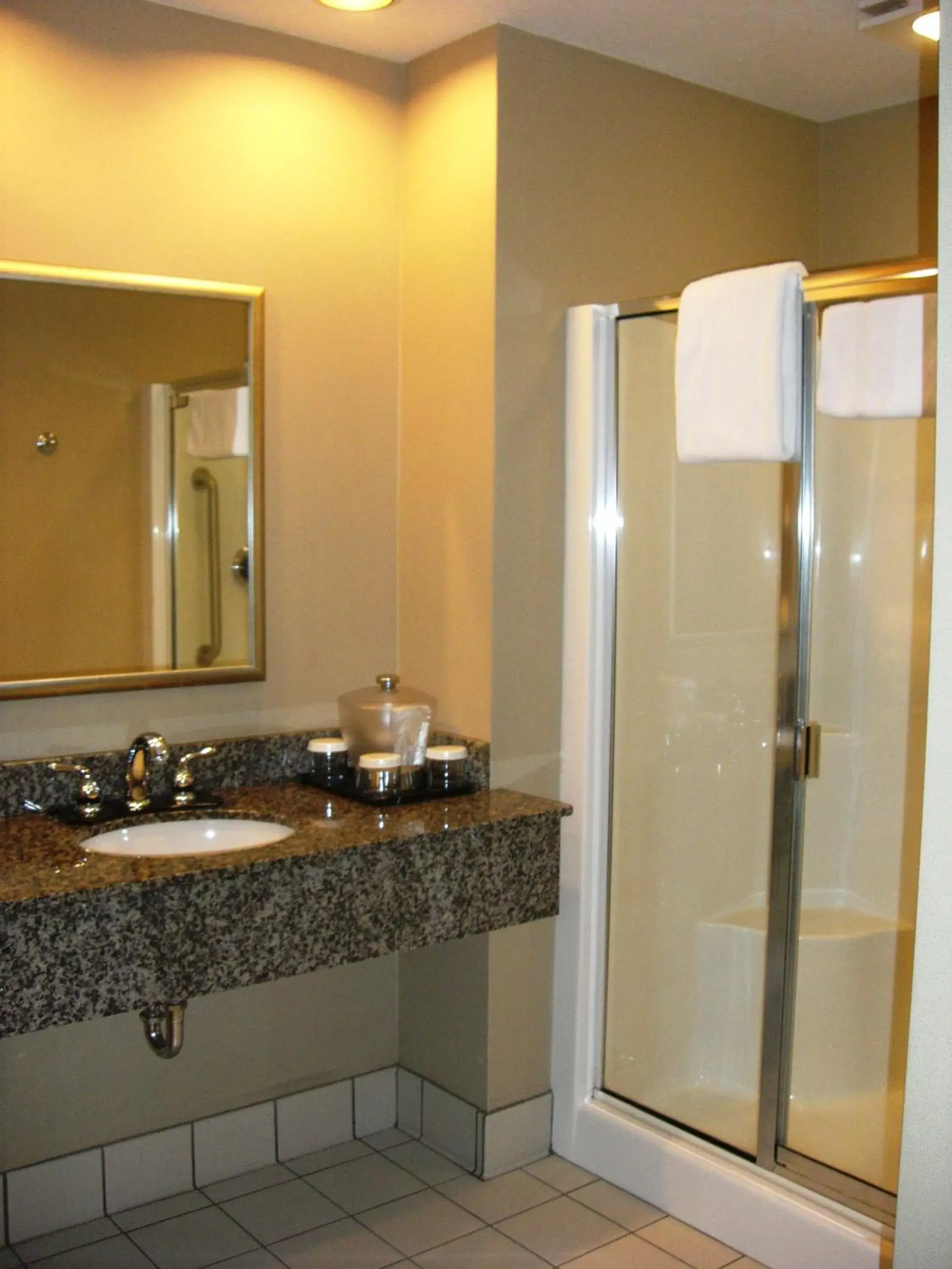 Shower, Bathroom in Holiday Inn St. Paul Northeast - Lake Elmo, an IHG Hotel