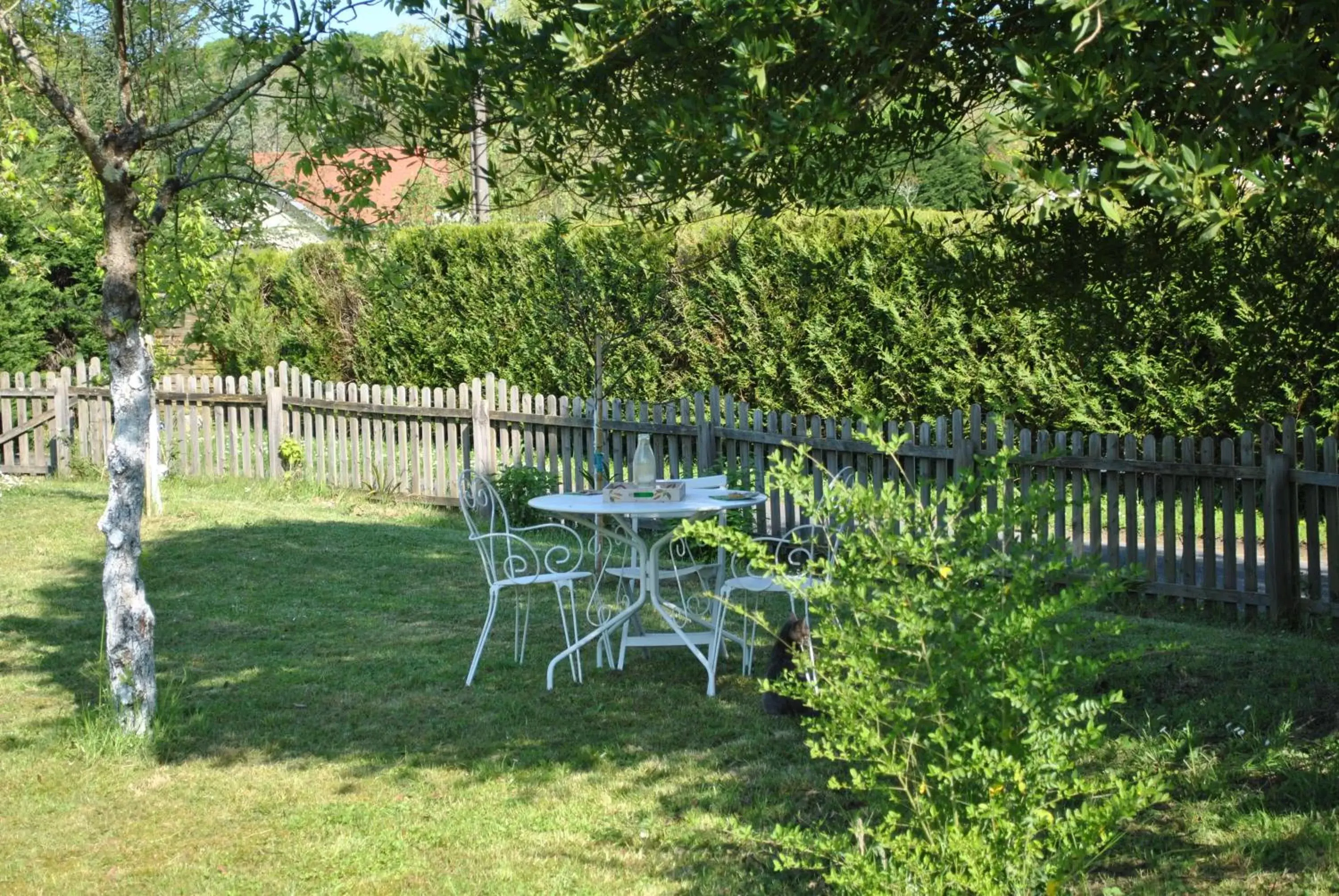 Garden in Villa Hortebise