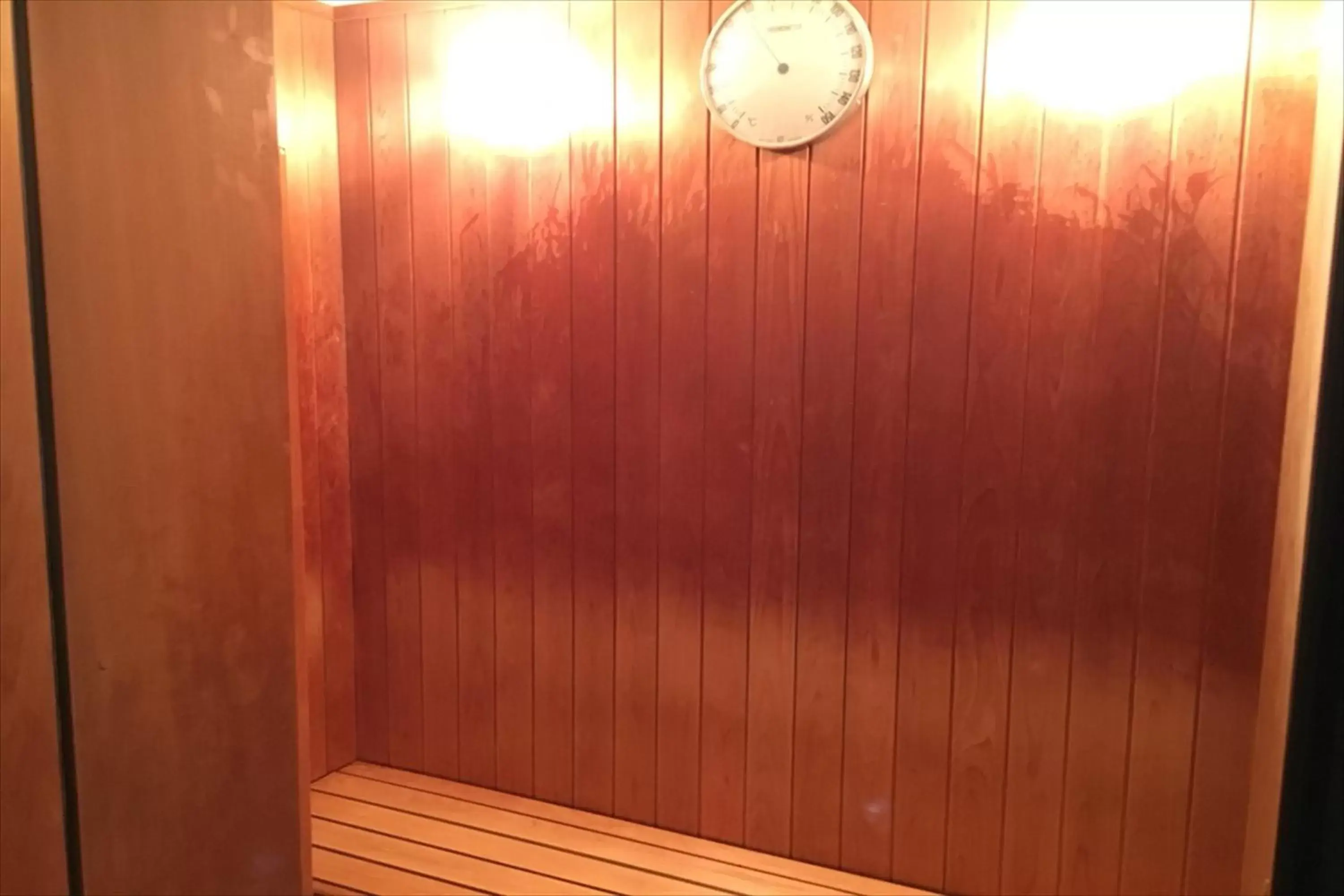 Sauna in Green Rich Hotel Iwakuni Ekimae (Artificial hot spring Futamata Yunohana)