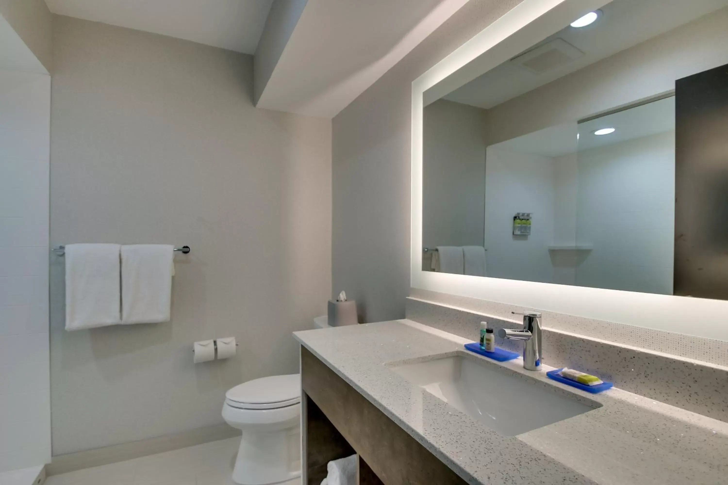 Photo of the whole room, Bathroom in Holiday Inn Express Fishkill, an IHG Hotel
