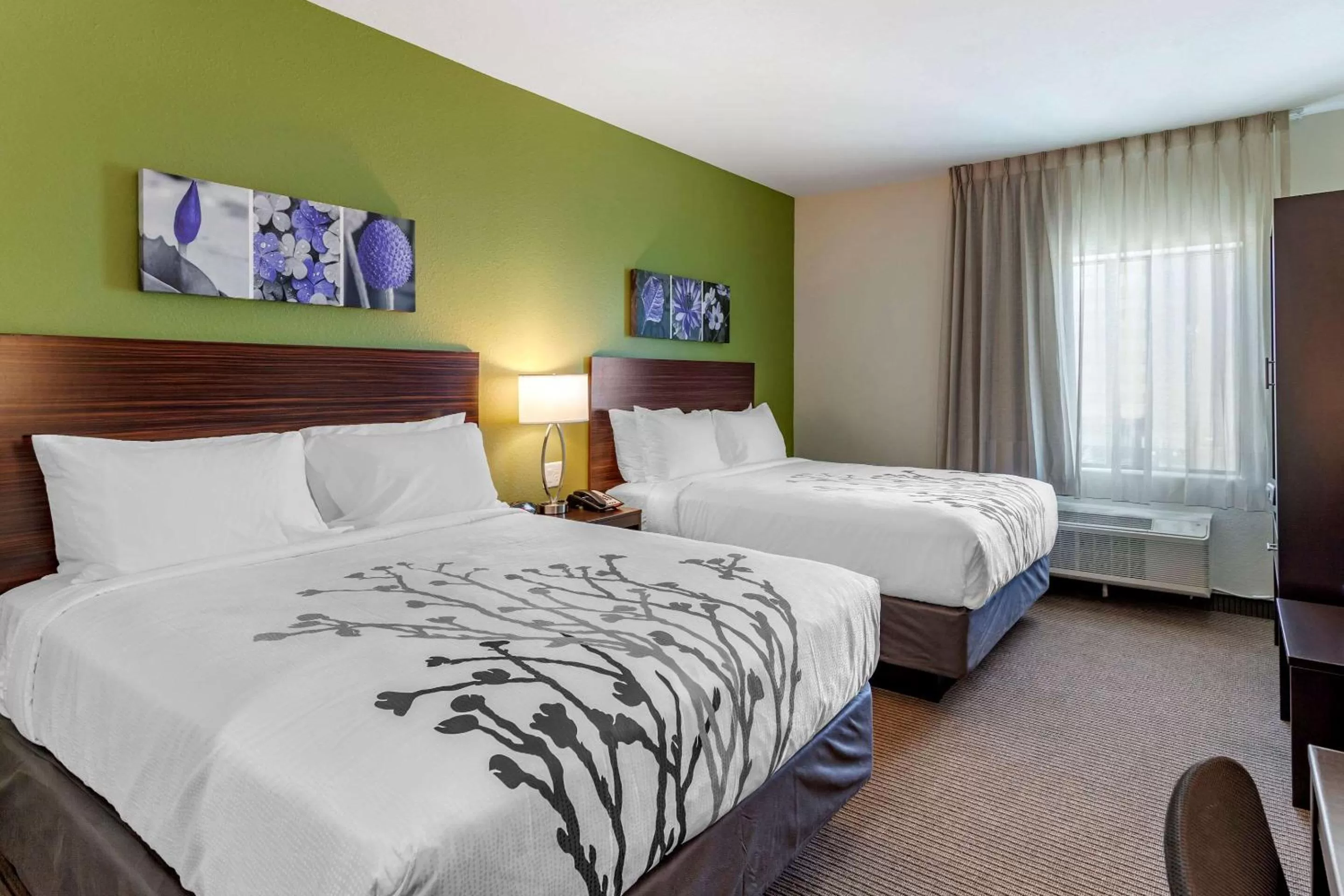 Photo of the whole room in Sleep Inn & Suites Waller