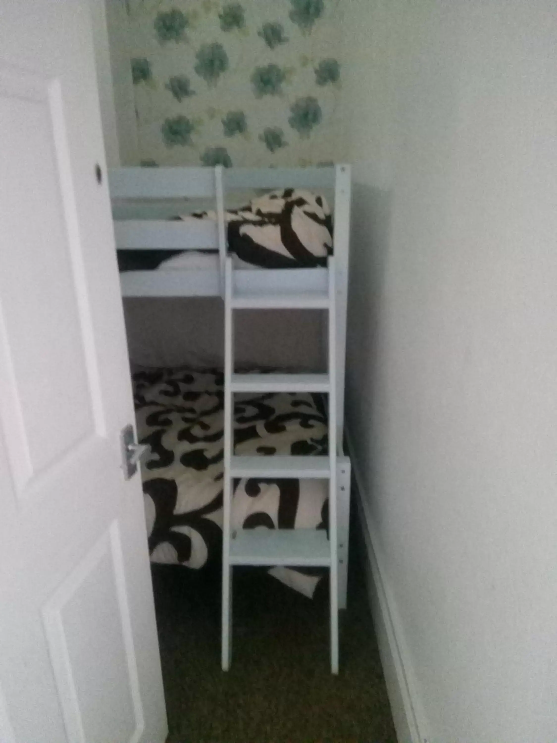 Bunk Bed in THE CHADWICK