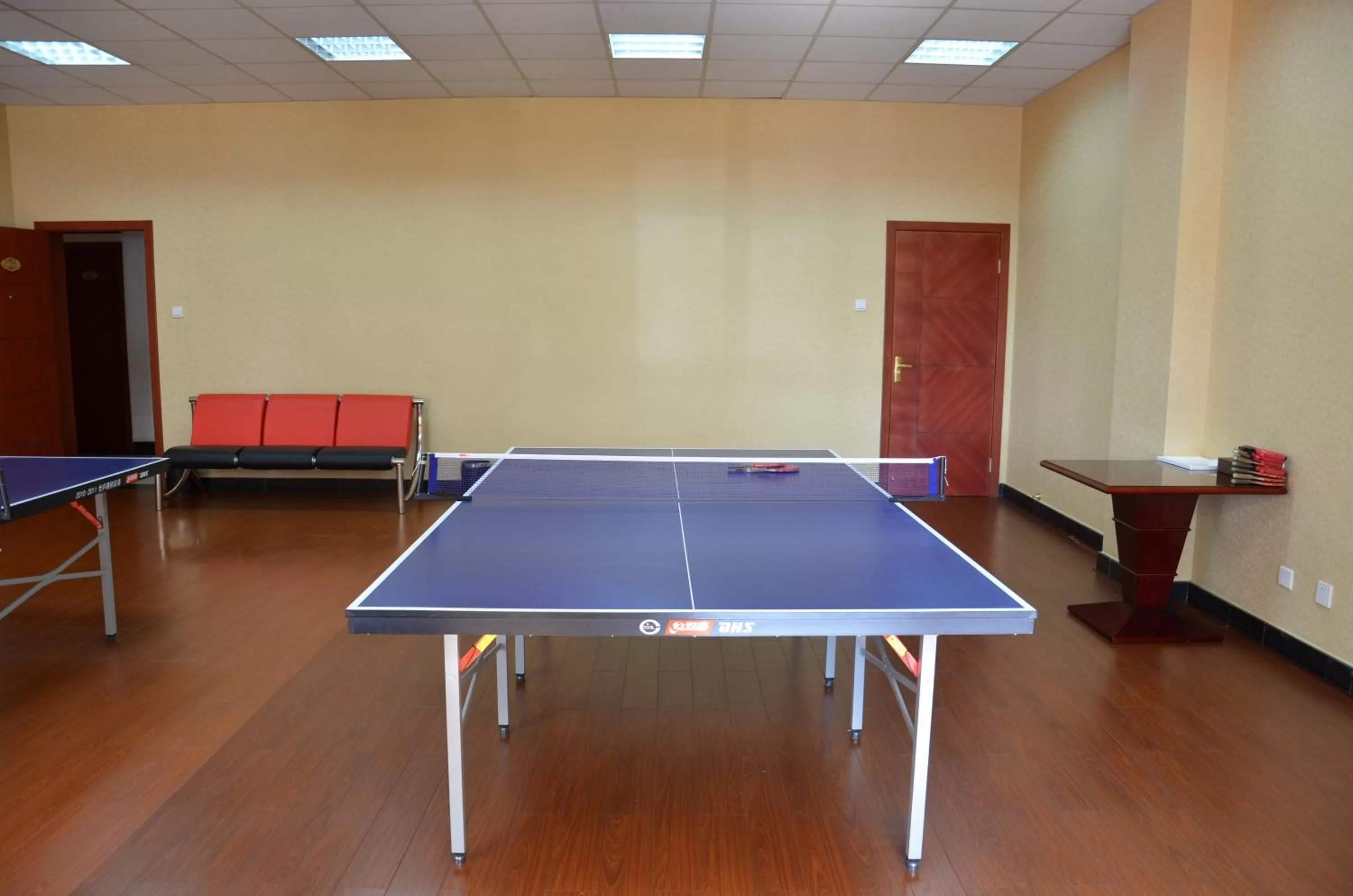 Game Room in Zambia Golden Peacock Hotel