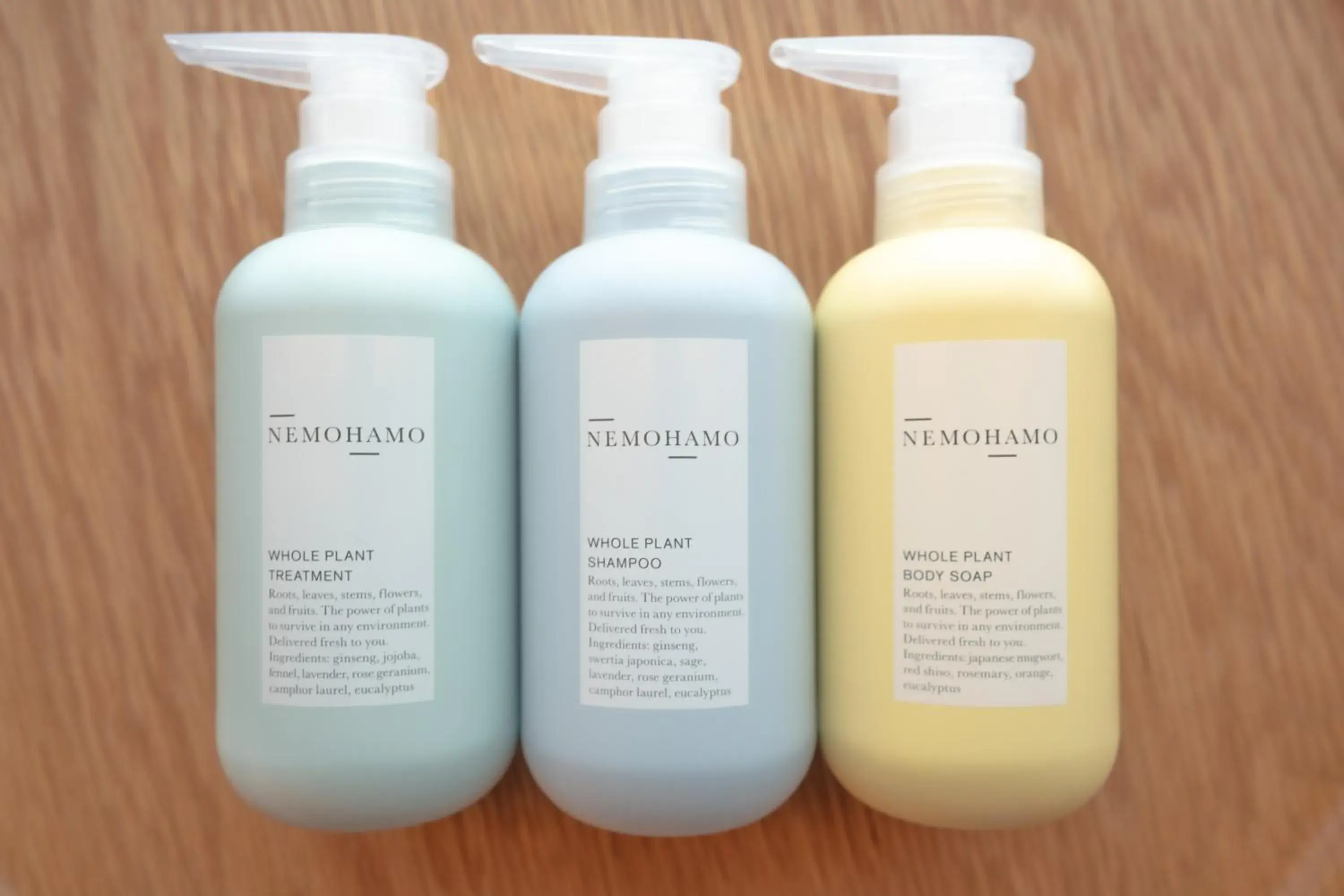 Photo of the whole room in Mikuniya Photo of the whole room in Mikuniya