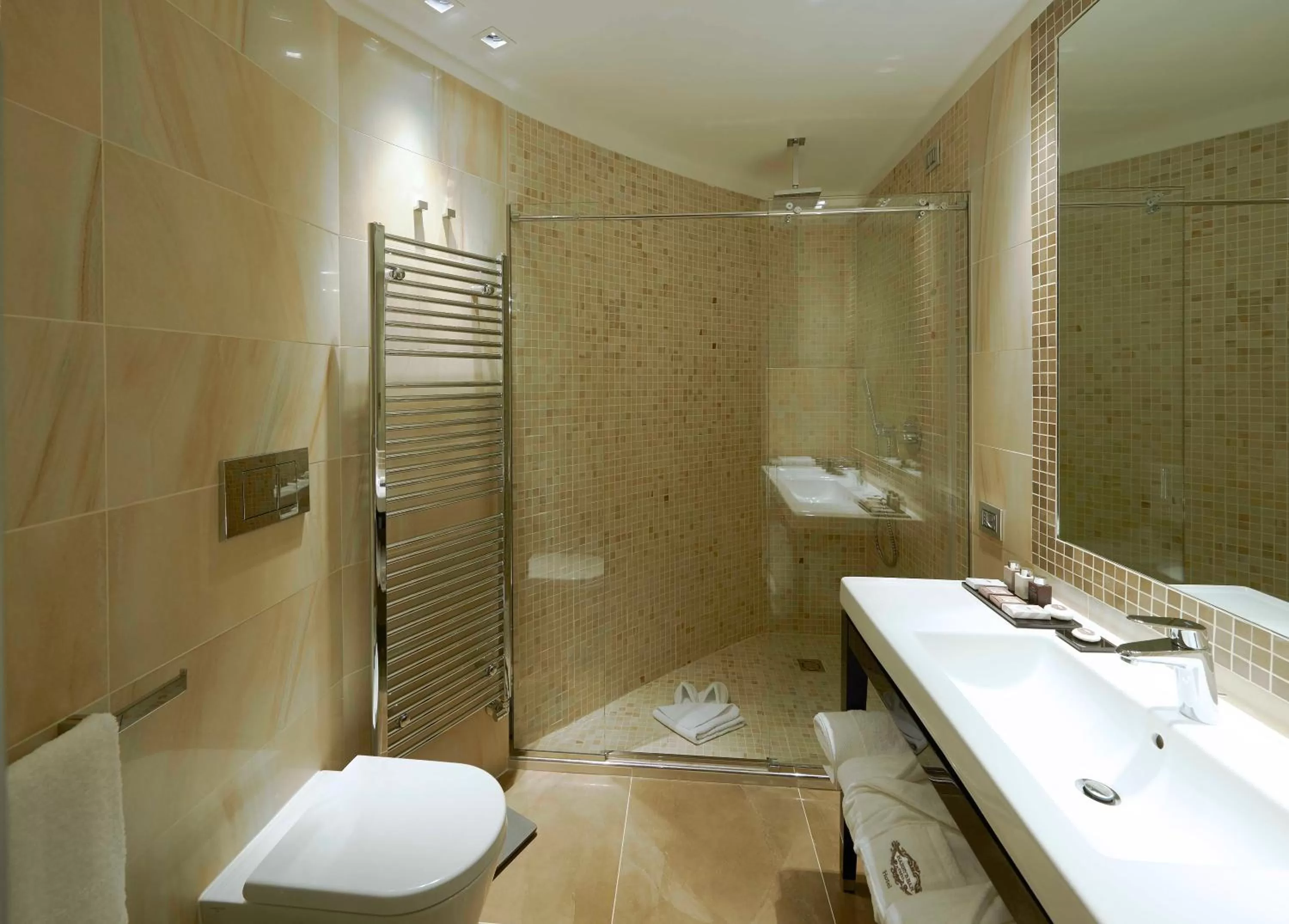 Shower in Harry's Bar Trevi Hotel & Restaurant