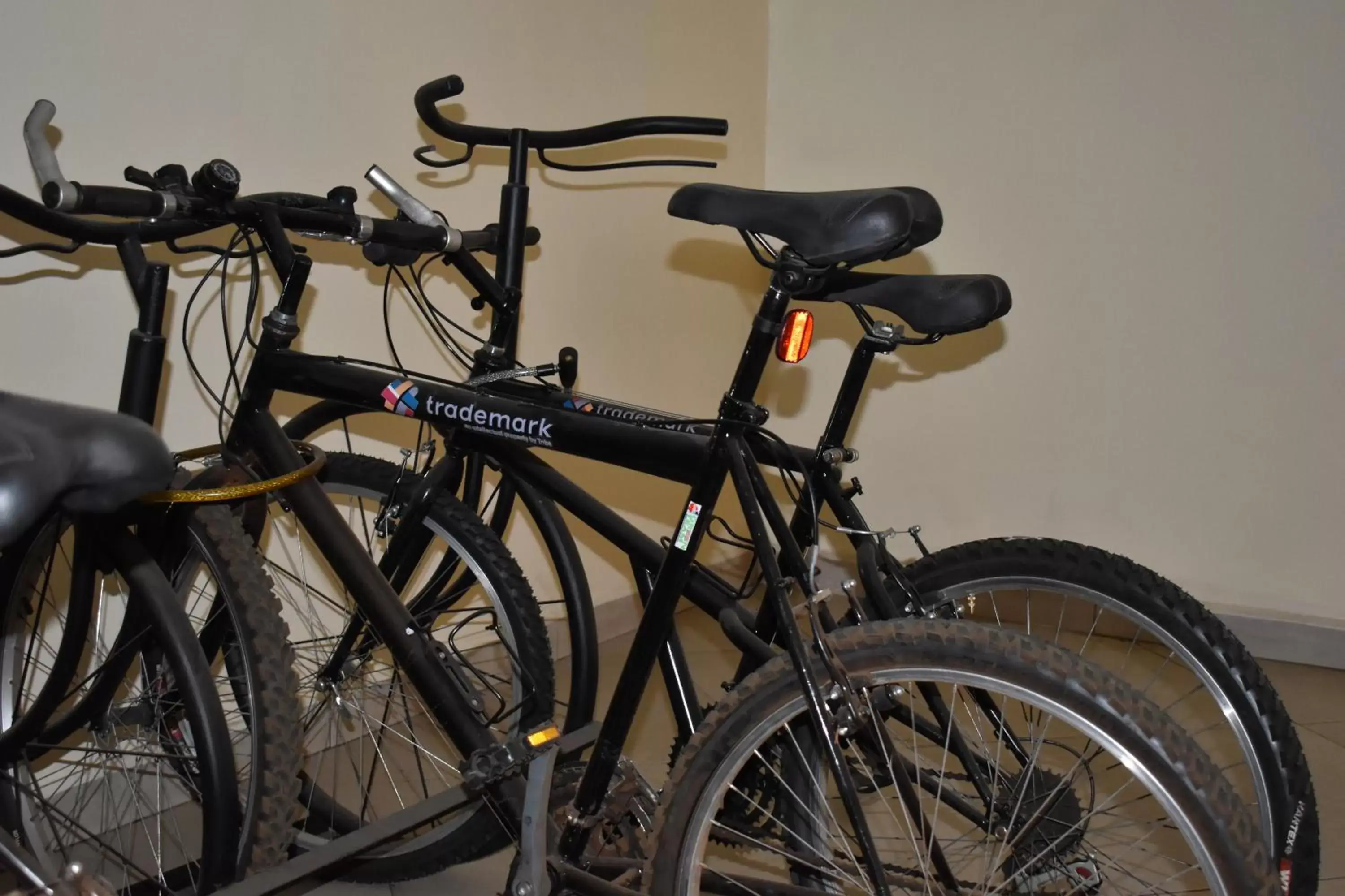 Cycling, Biking in Trademark Hotel, a Member of Design Hotels