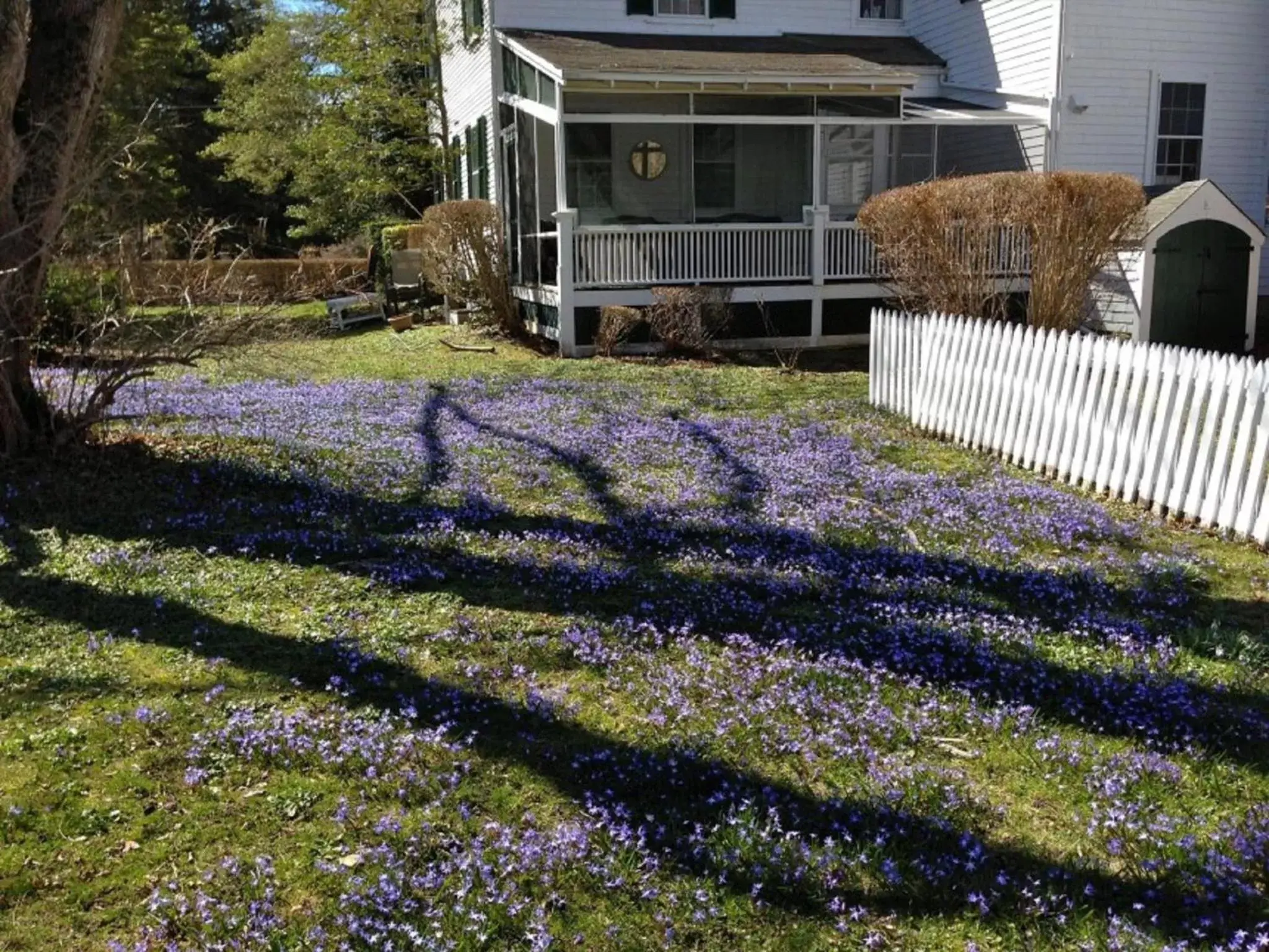 Spring, Property Building in Village Inn