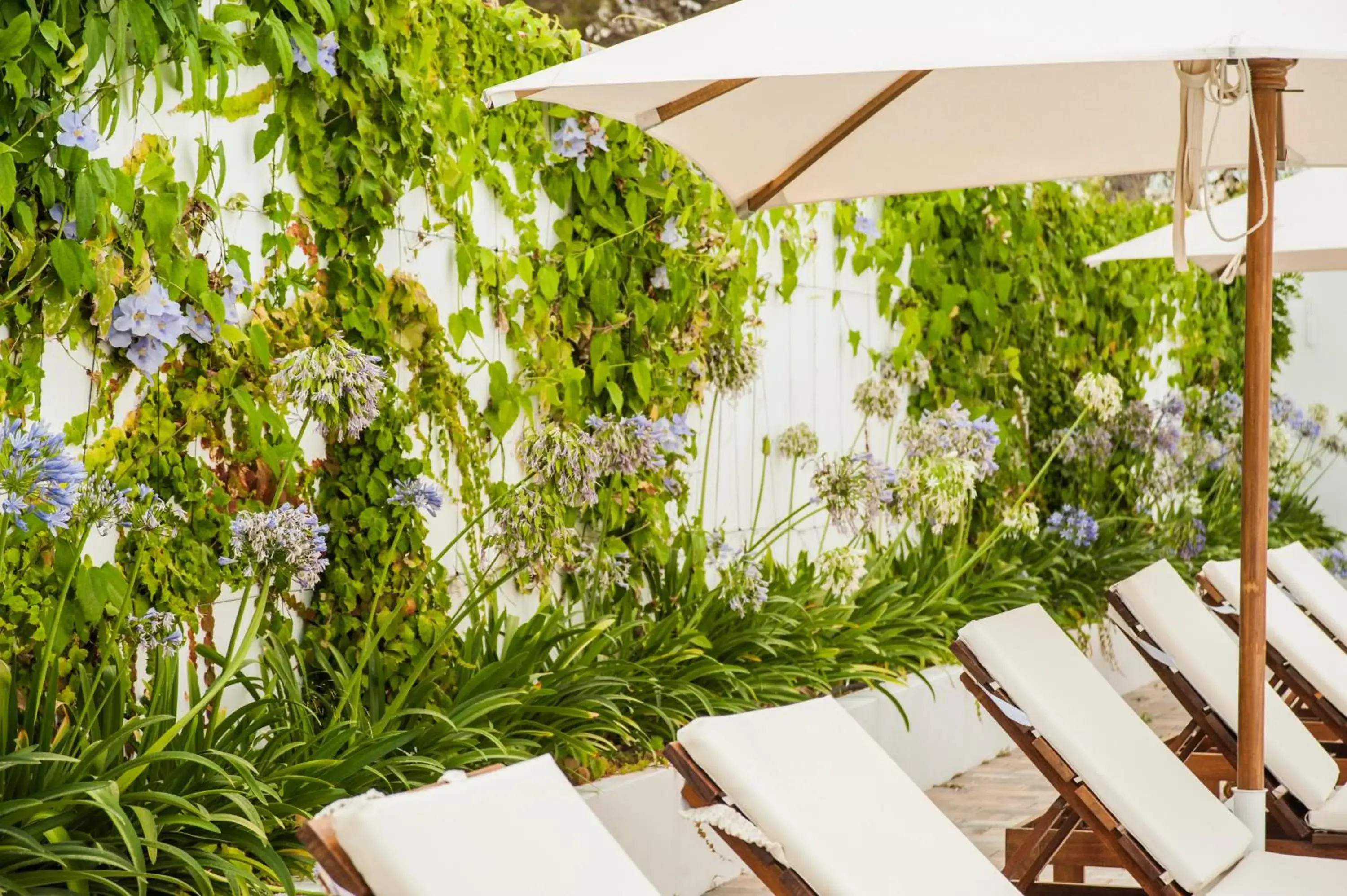 Swimming pool in Hotel Anfora Ibiza