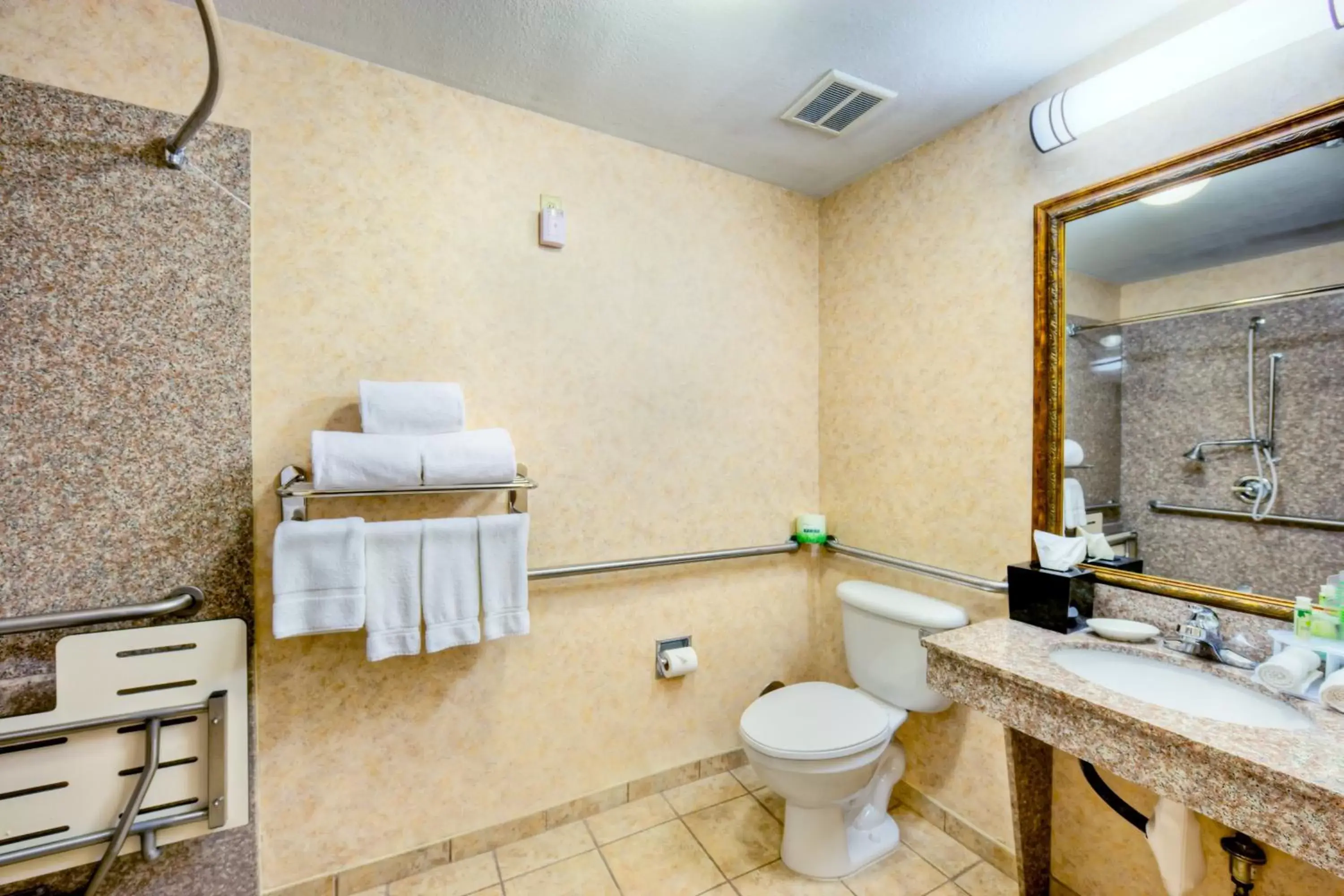 Bathroom in Holiday Inn Express and Suites Granbury, an IHG Hotel