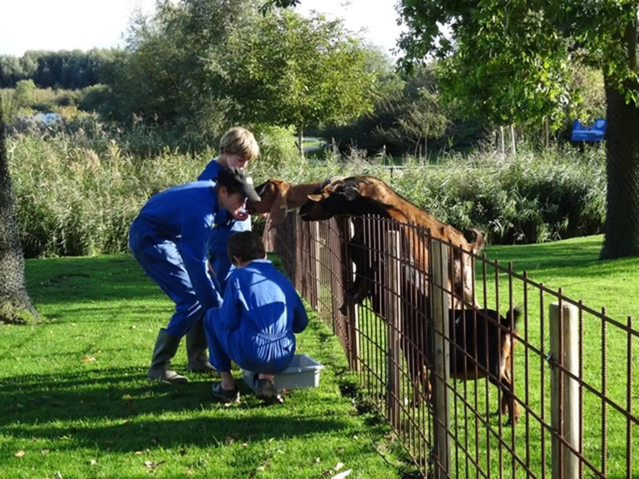 Pets in Hajé Hotel Restaurant de Lepelaar